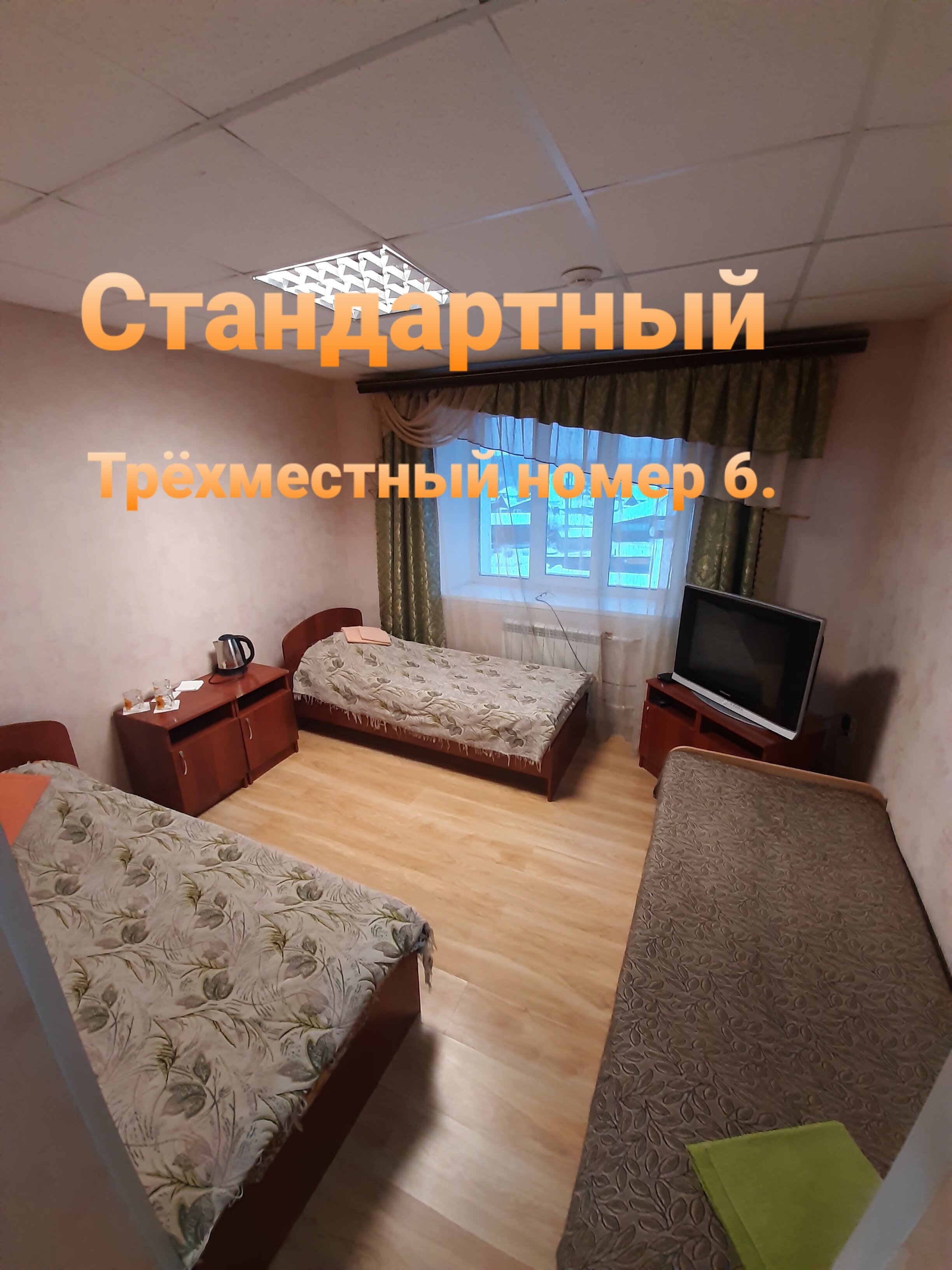 Фото Колибри