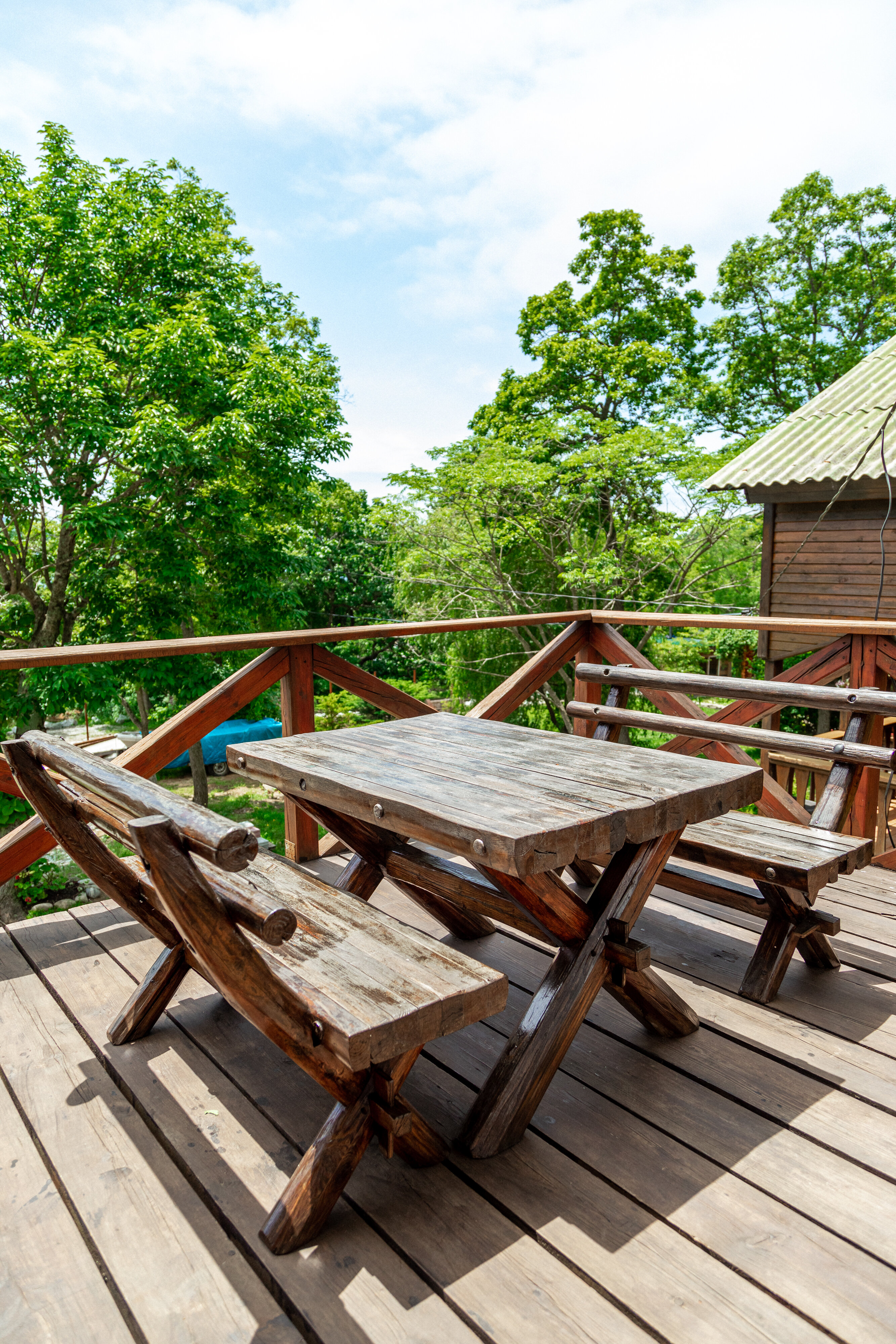 Фото Ольховая