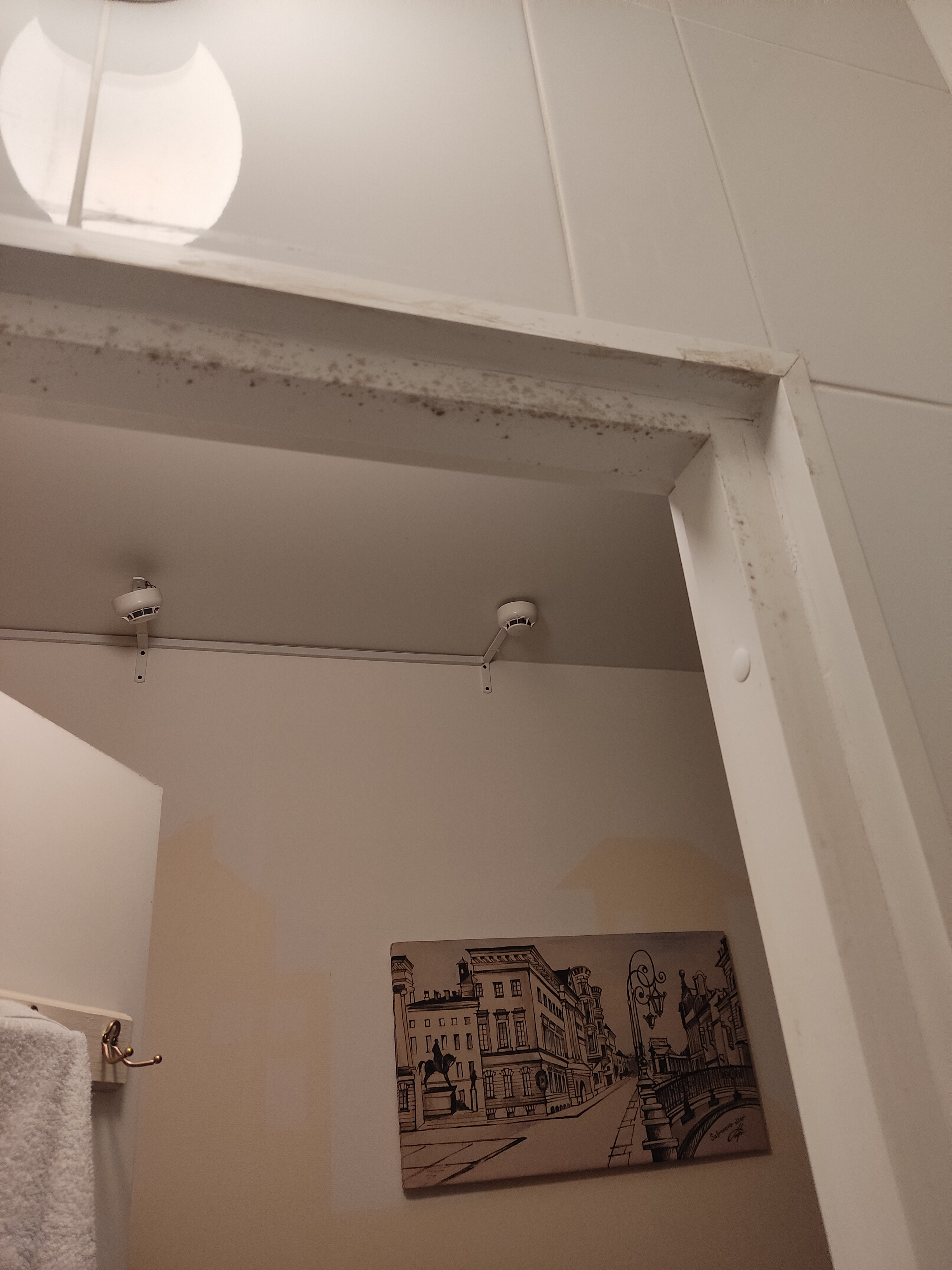 Фото WhiteNight на Фонтанке