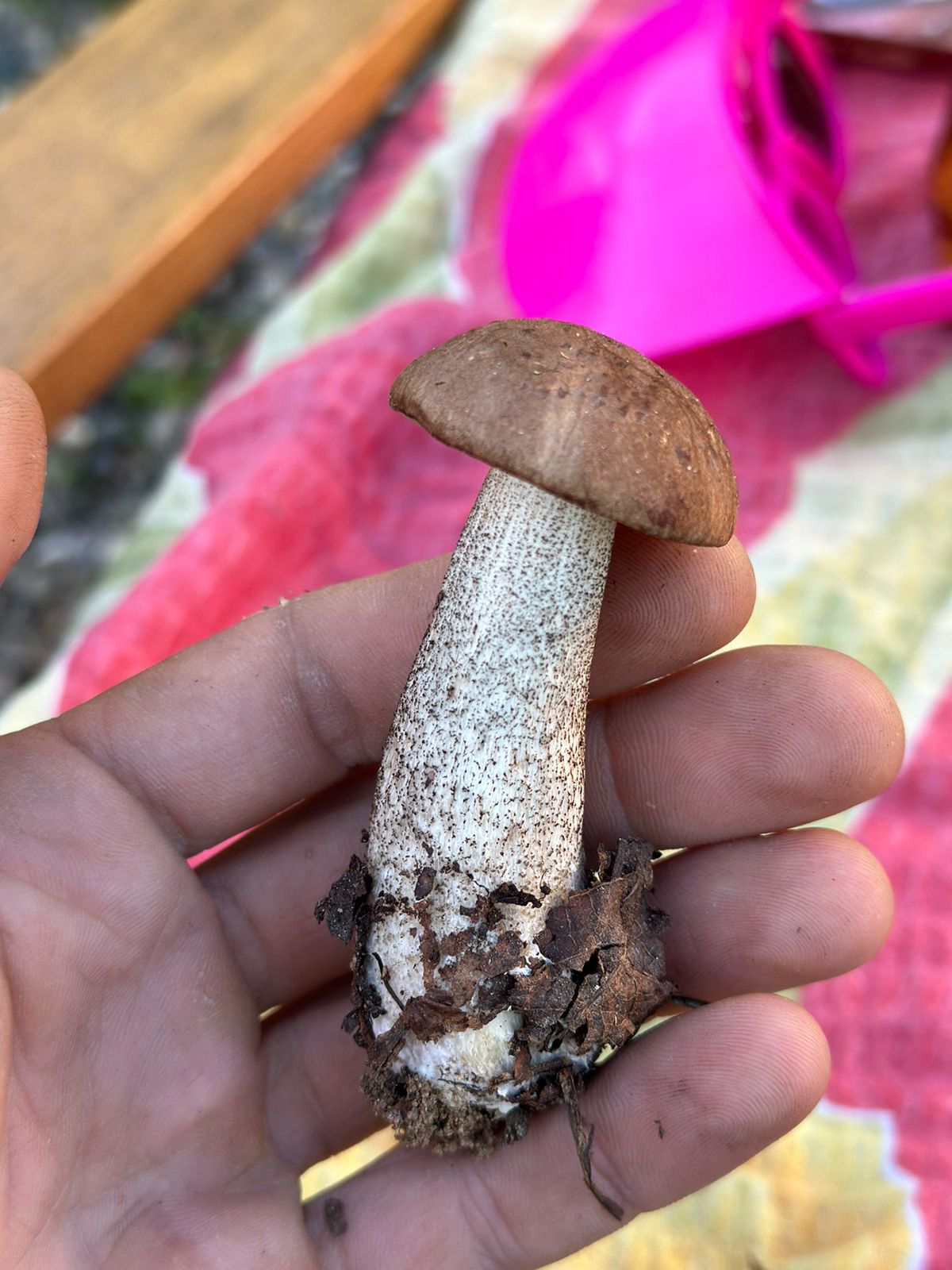 Фото Ай Куменово