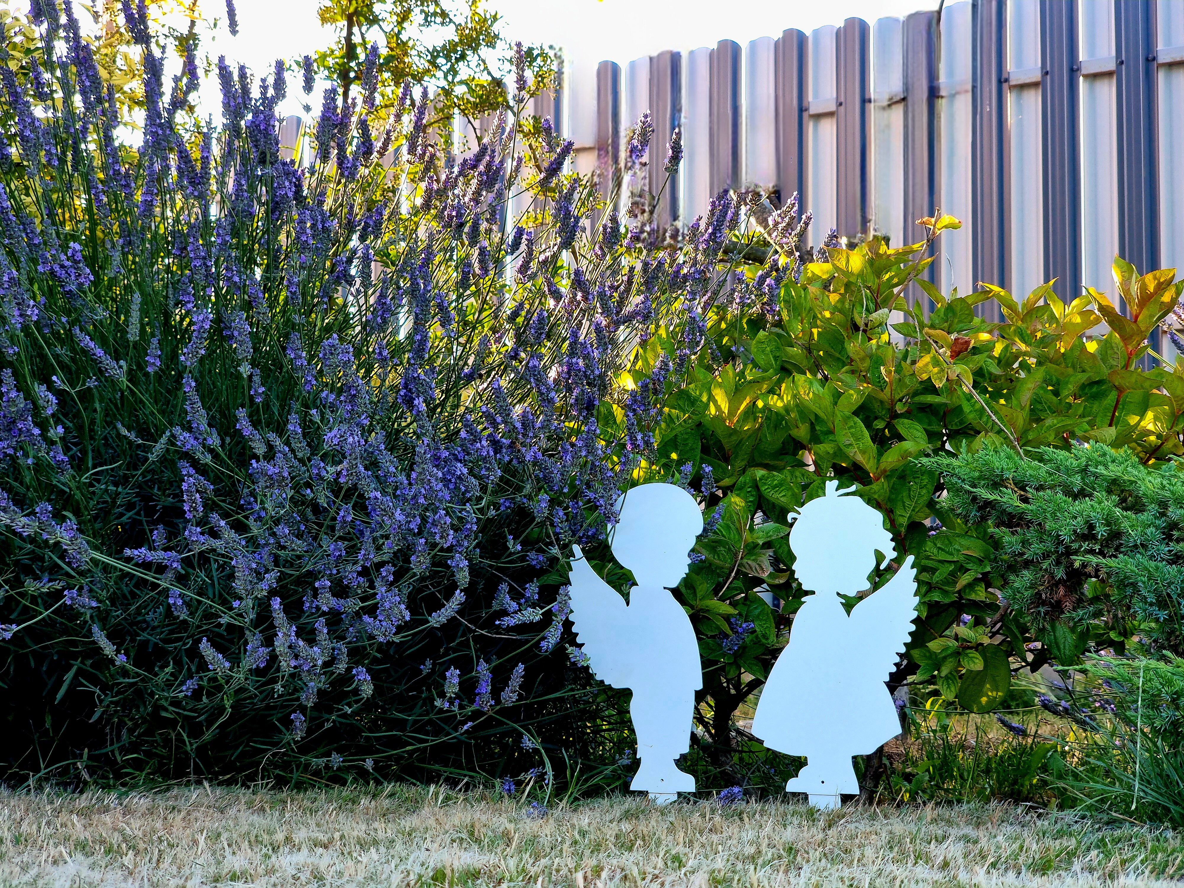 Фото Веселовка Парк