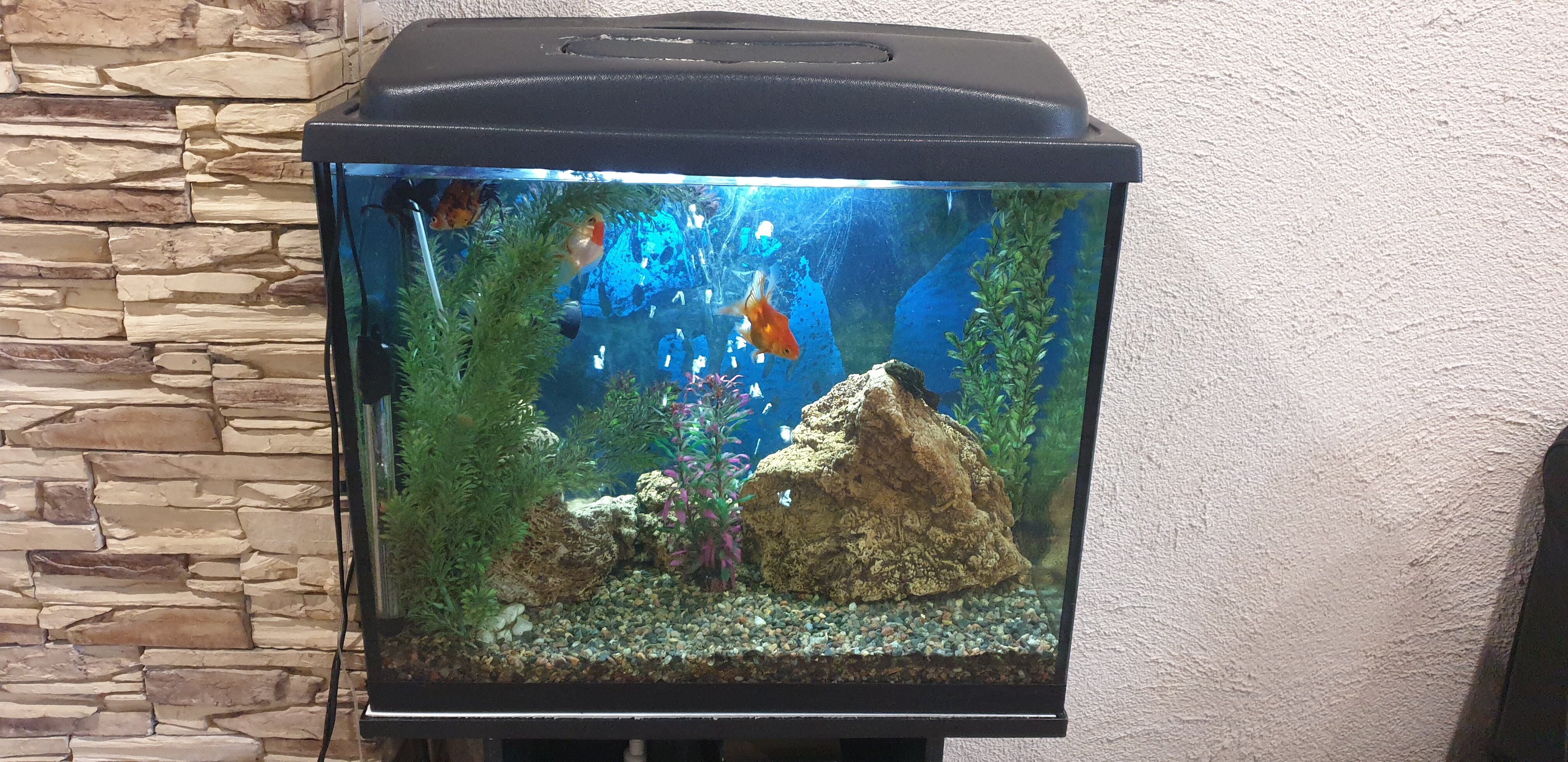 Фото Кают-компания