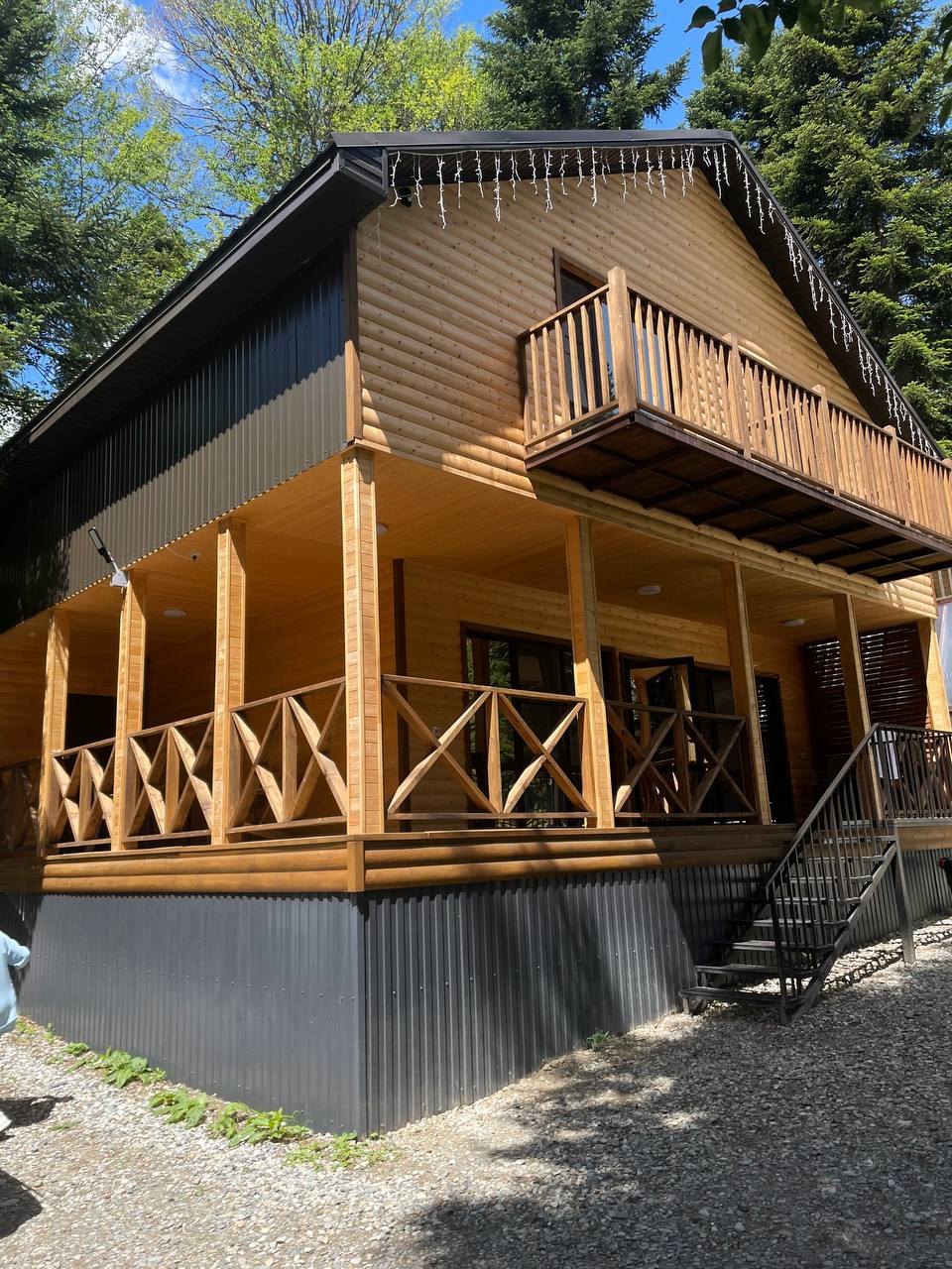 Фото Брусника