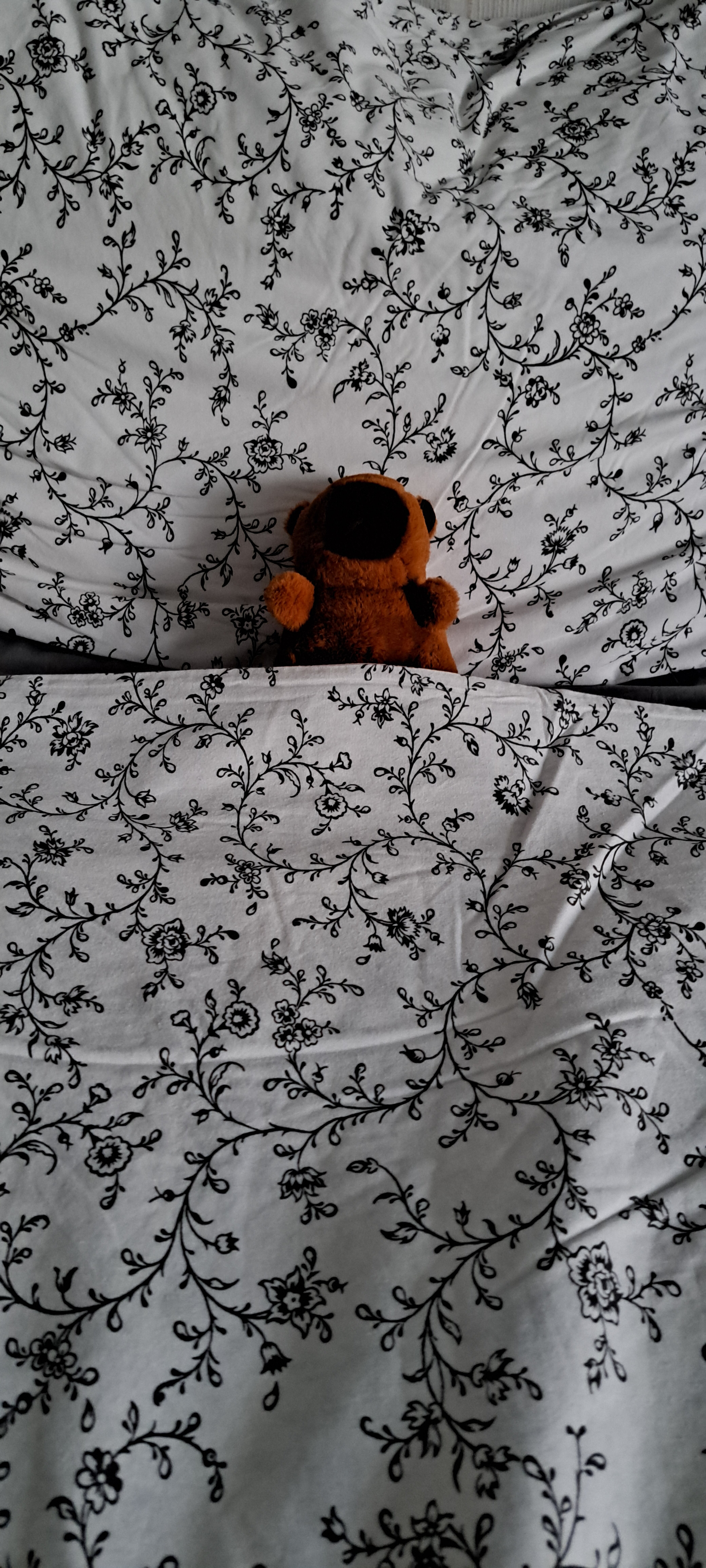 Фото Шовген by Воля