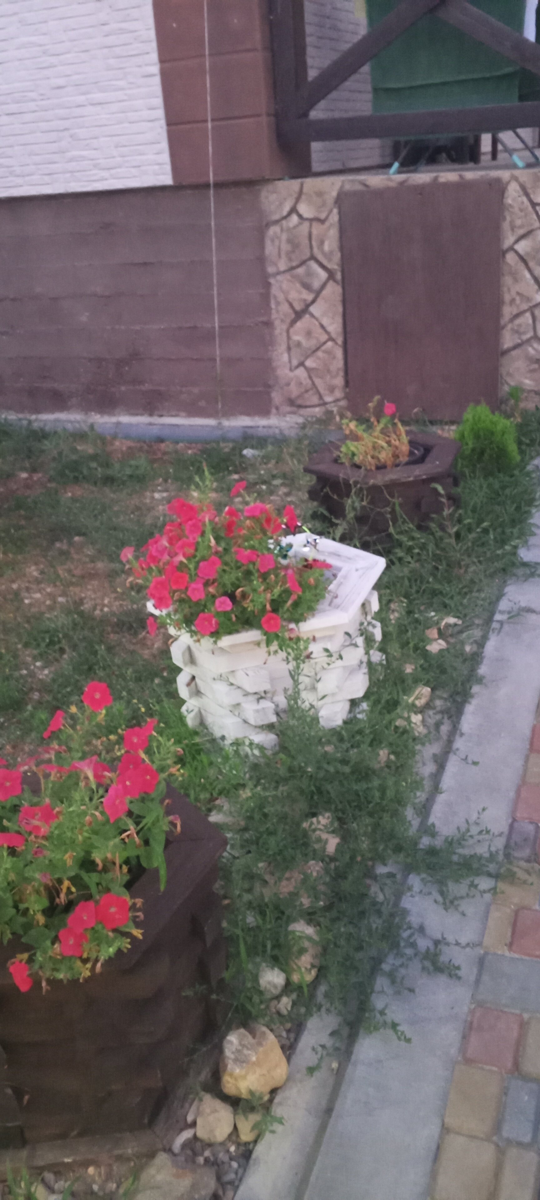 Фото Лукоморье