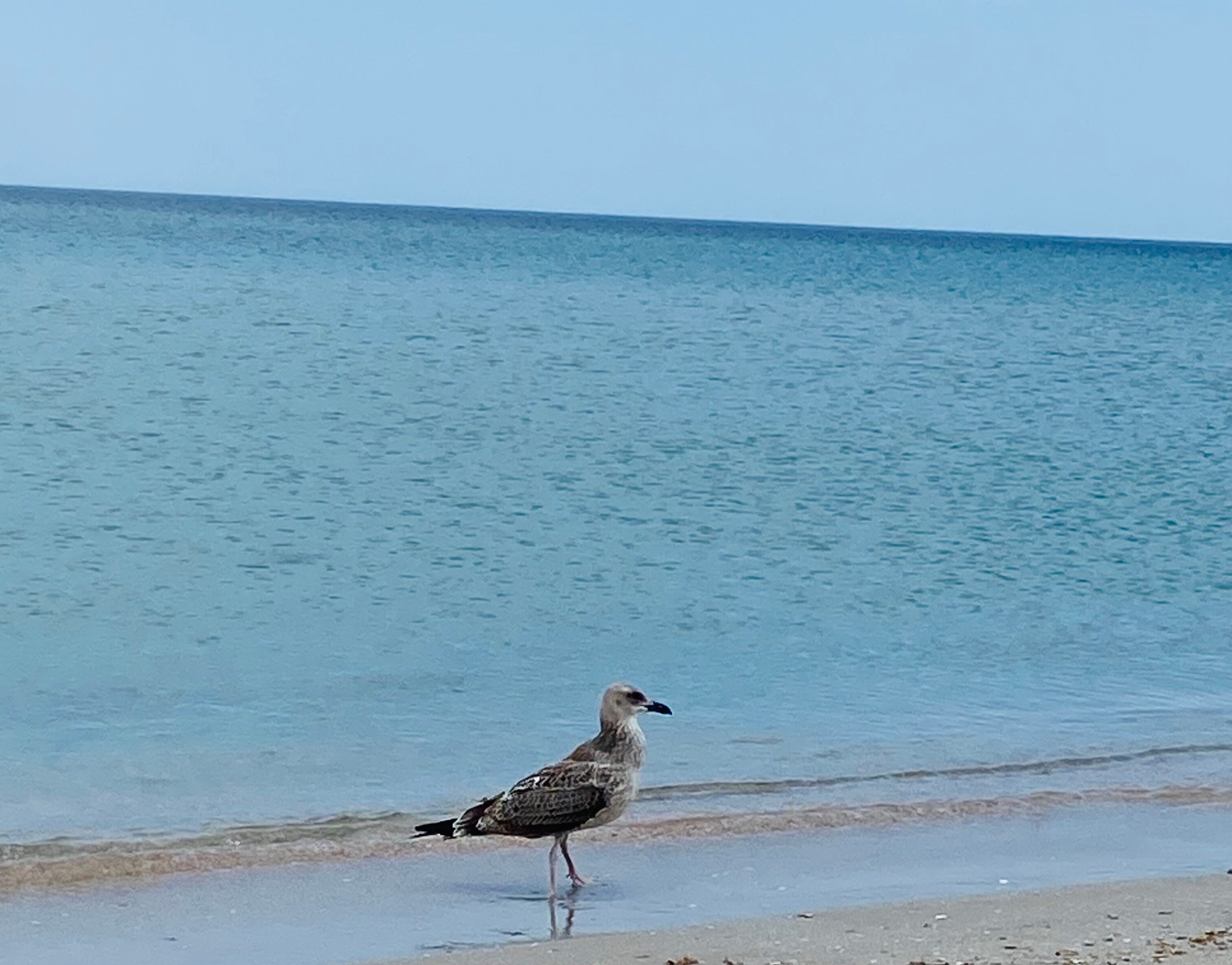 Фото Oasis Eco - House