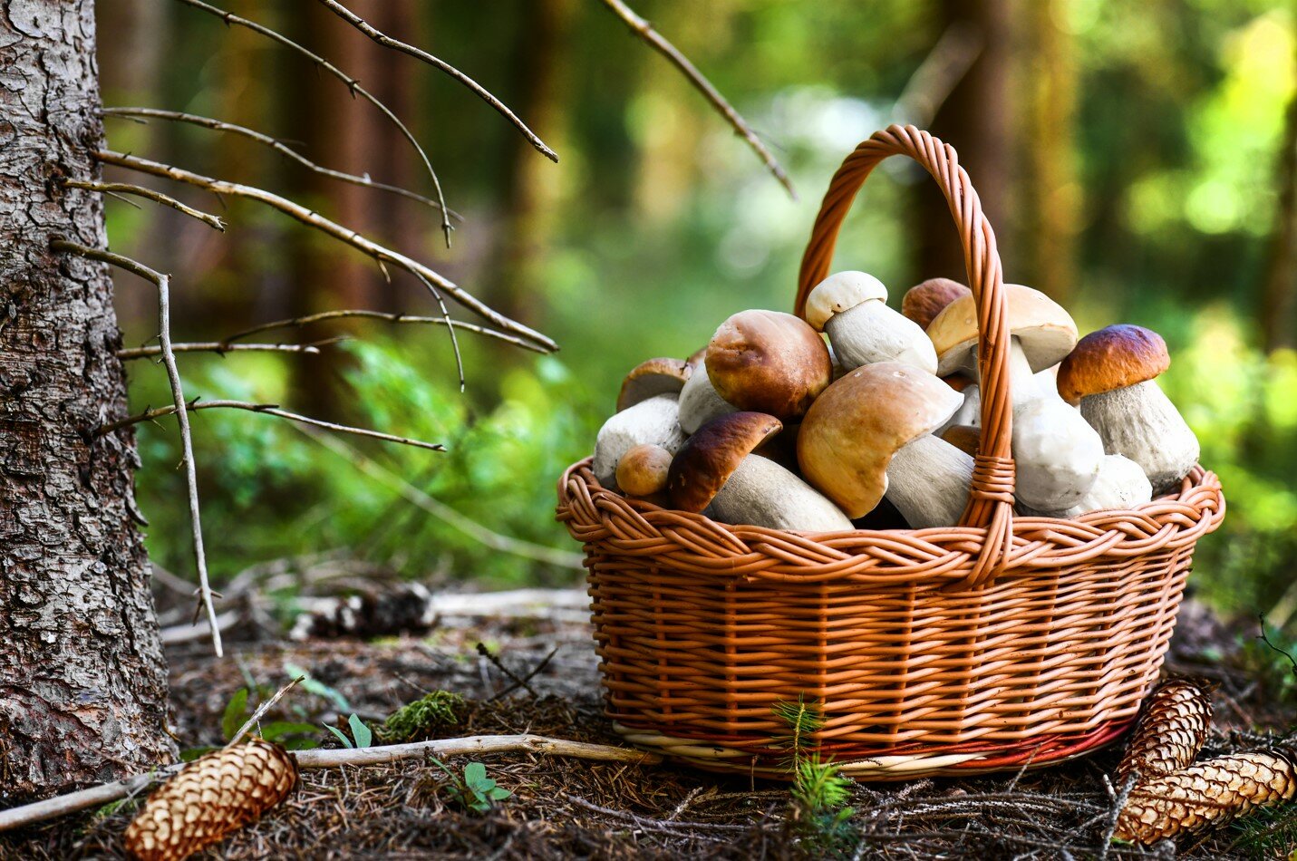 Фото ГК Волковское