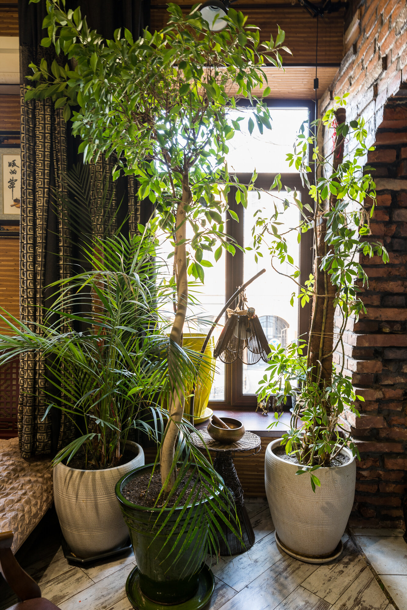 Фото Пекинский Дворик