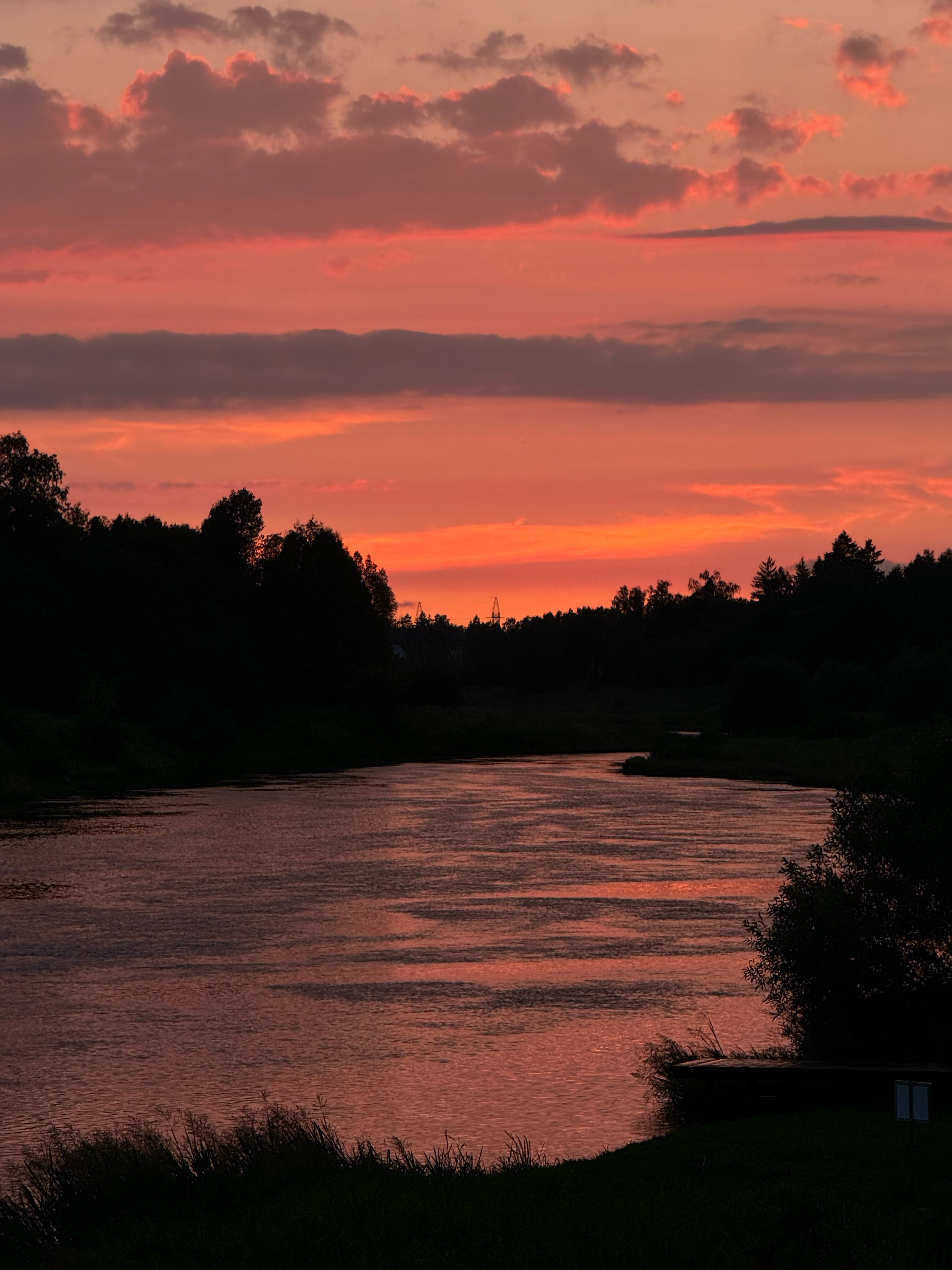 Фото Веселые гуси