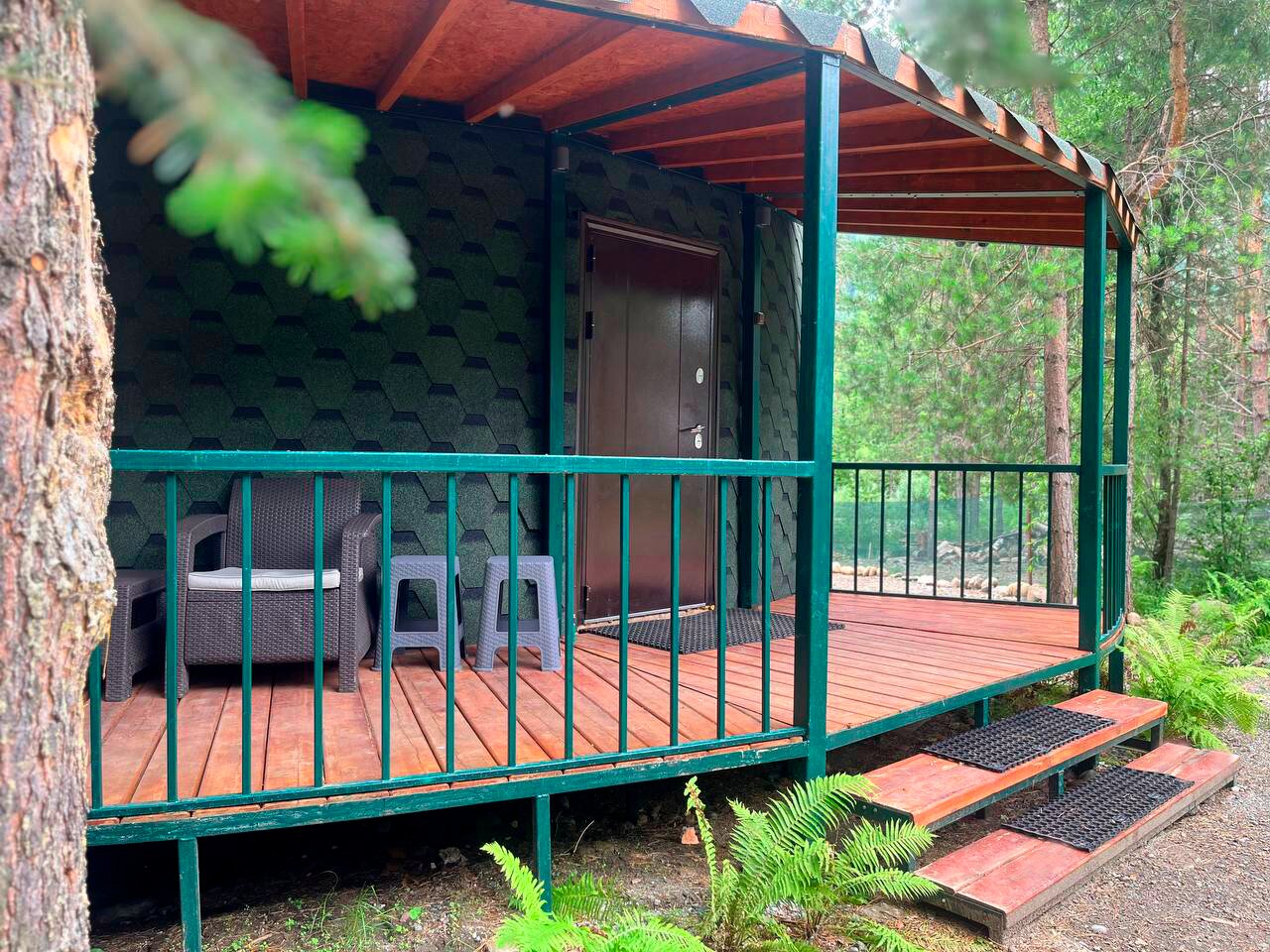 Фото Галактика Алтай