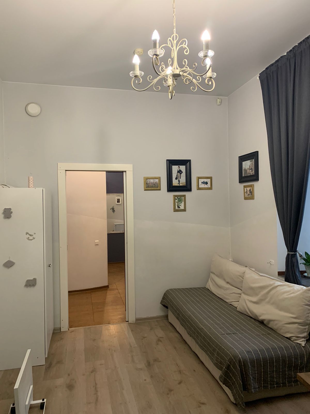 Фото Чайка на Фонтанке