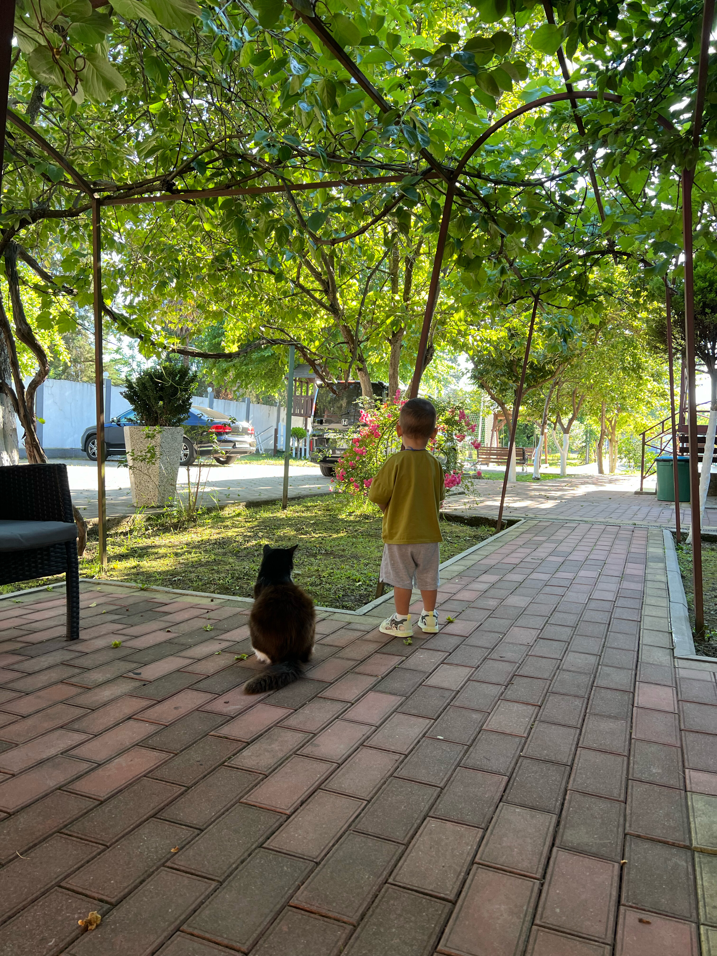 Фото Гостевой дом Фазенда