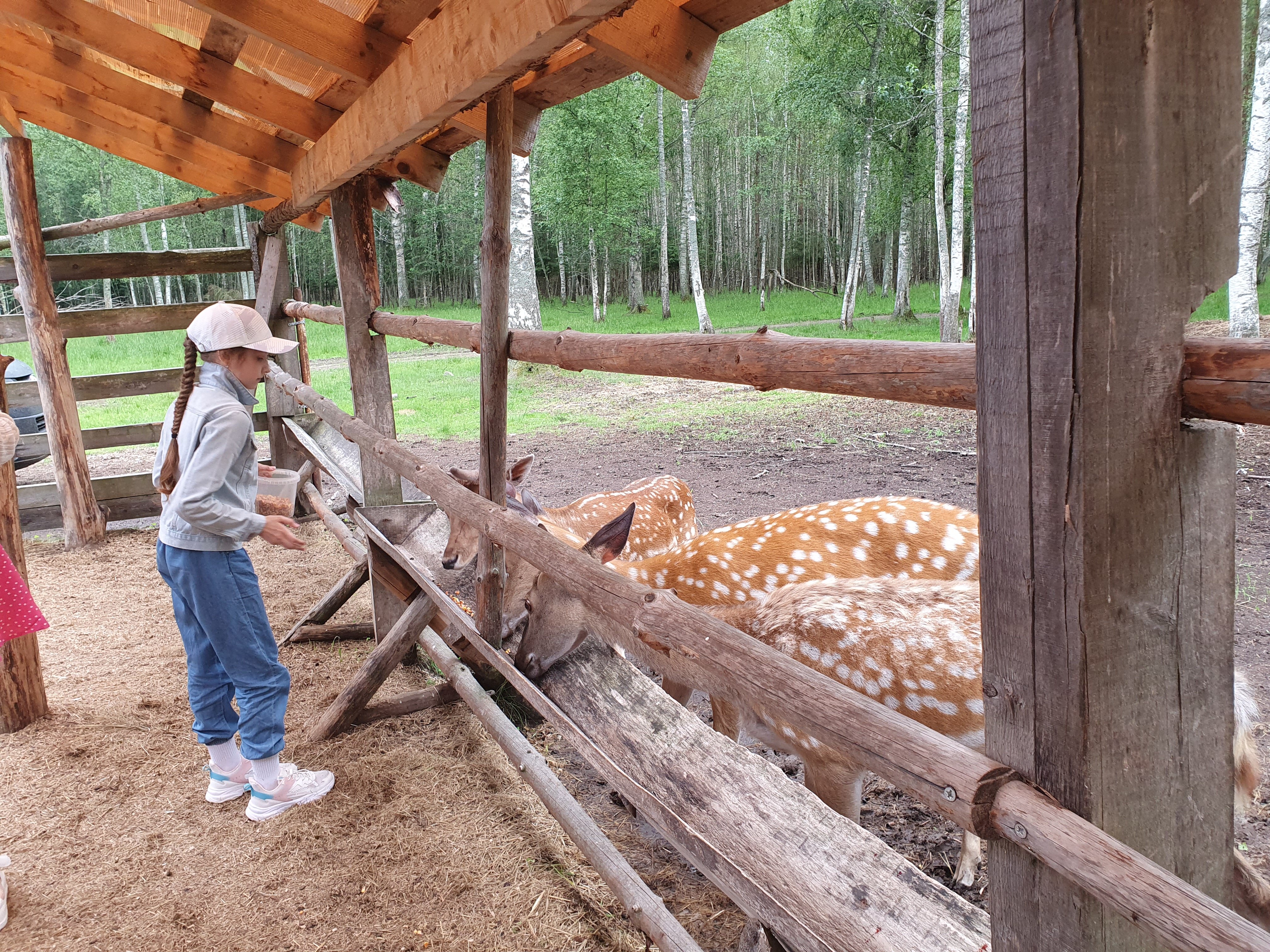 Фото Оленья ферма СудимирЪ