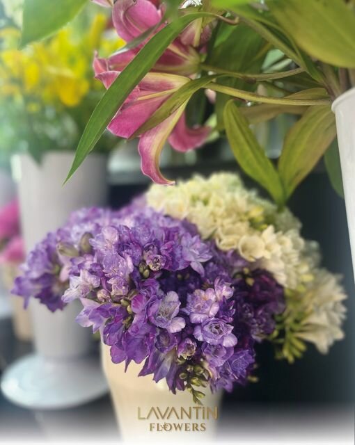 Flower shop Lavantin My Garden, Serdivan, photo