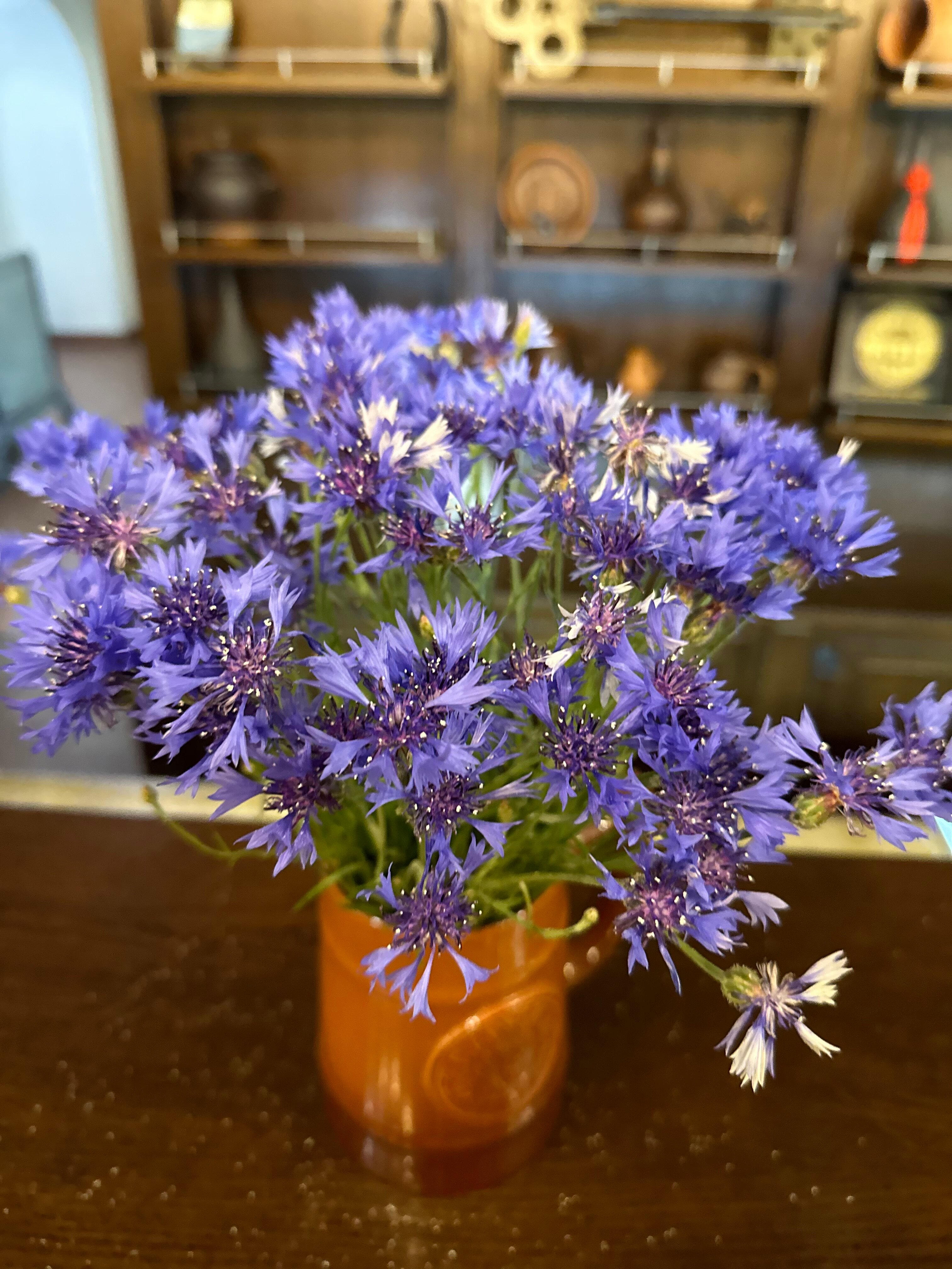 Фото Монастырский