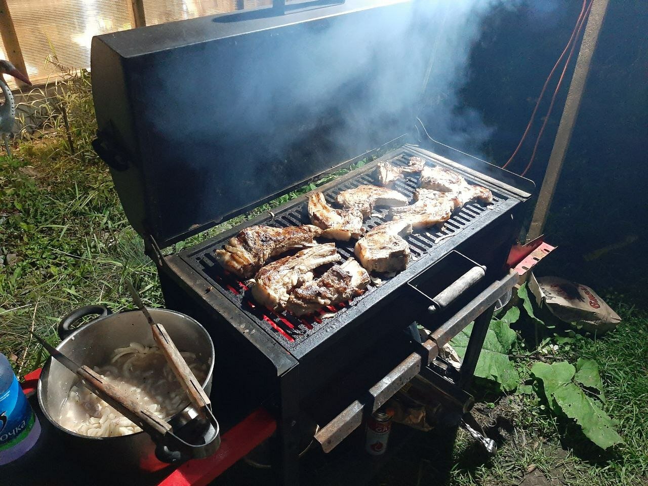 Фото Гружевские