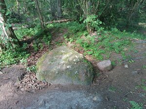 Relict megalith Igor Stone (Moscow Region, ruchey Zhuravka), landmark, attraction