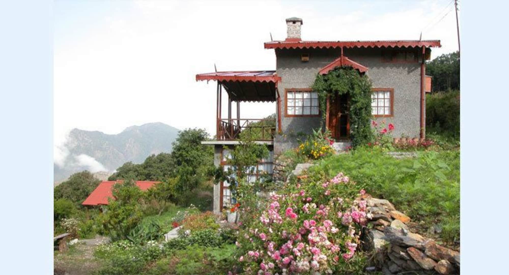 Фото Jungle Lore Birding Lodge