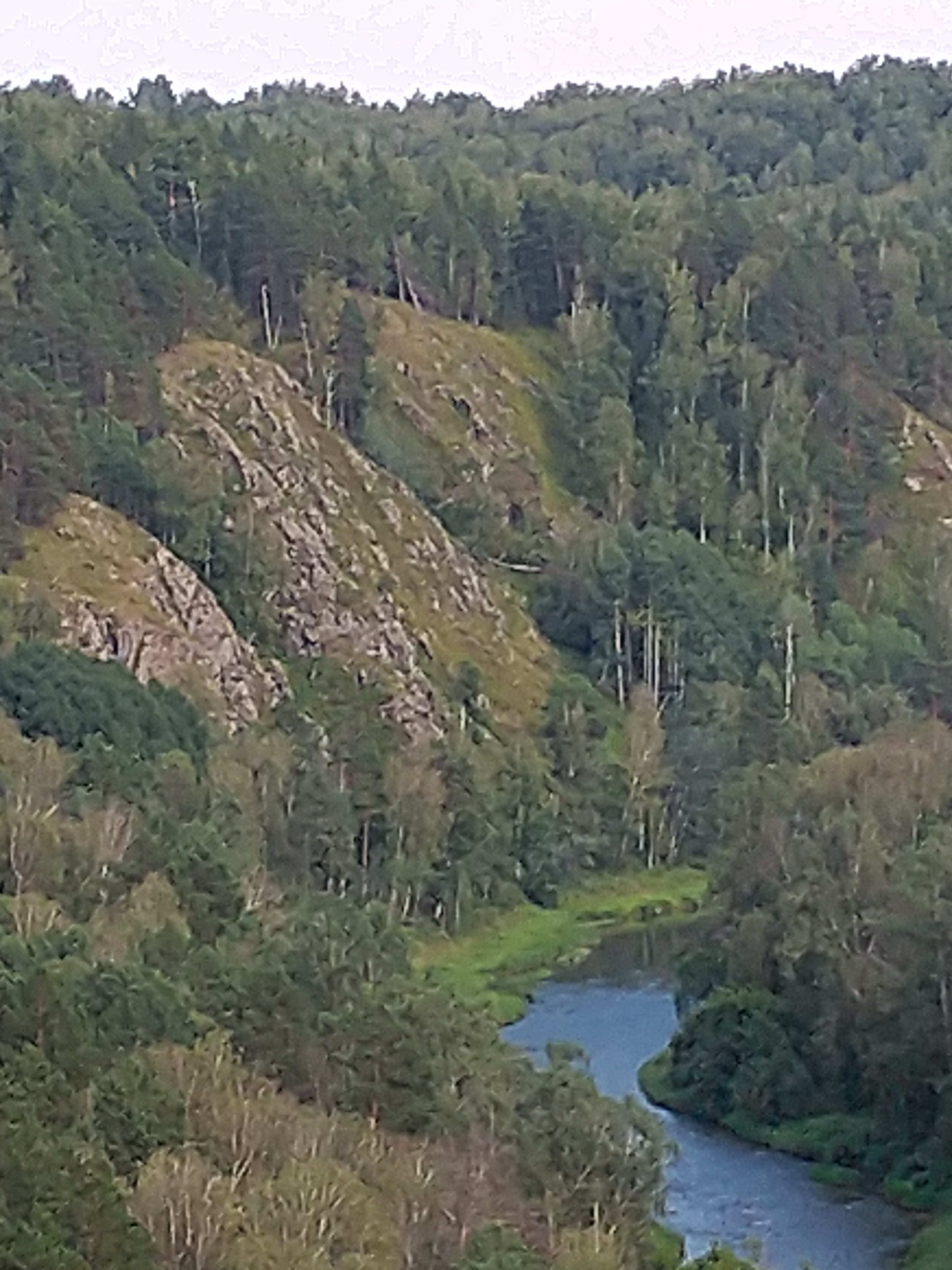 Фото Глэмпинг Стрекоза