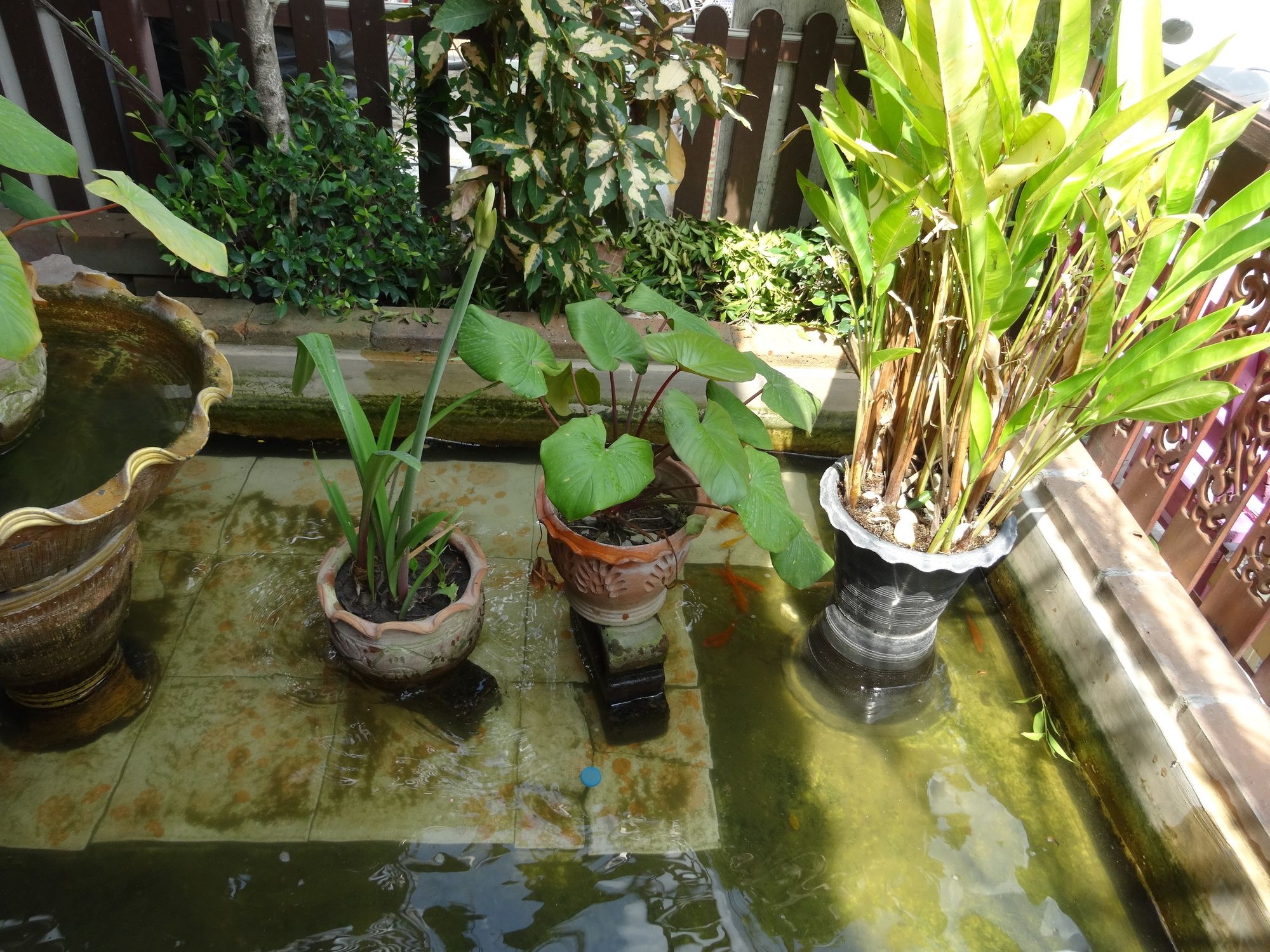 Фото Baan One Love Ayutthaya