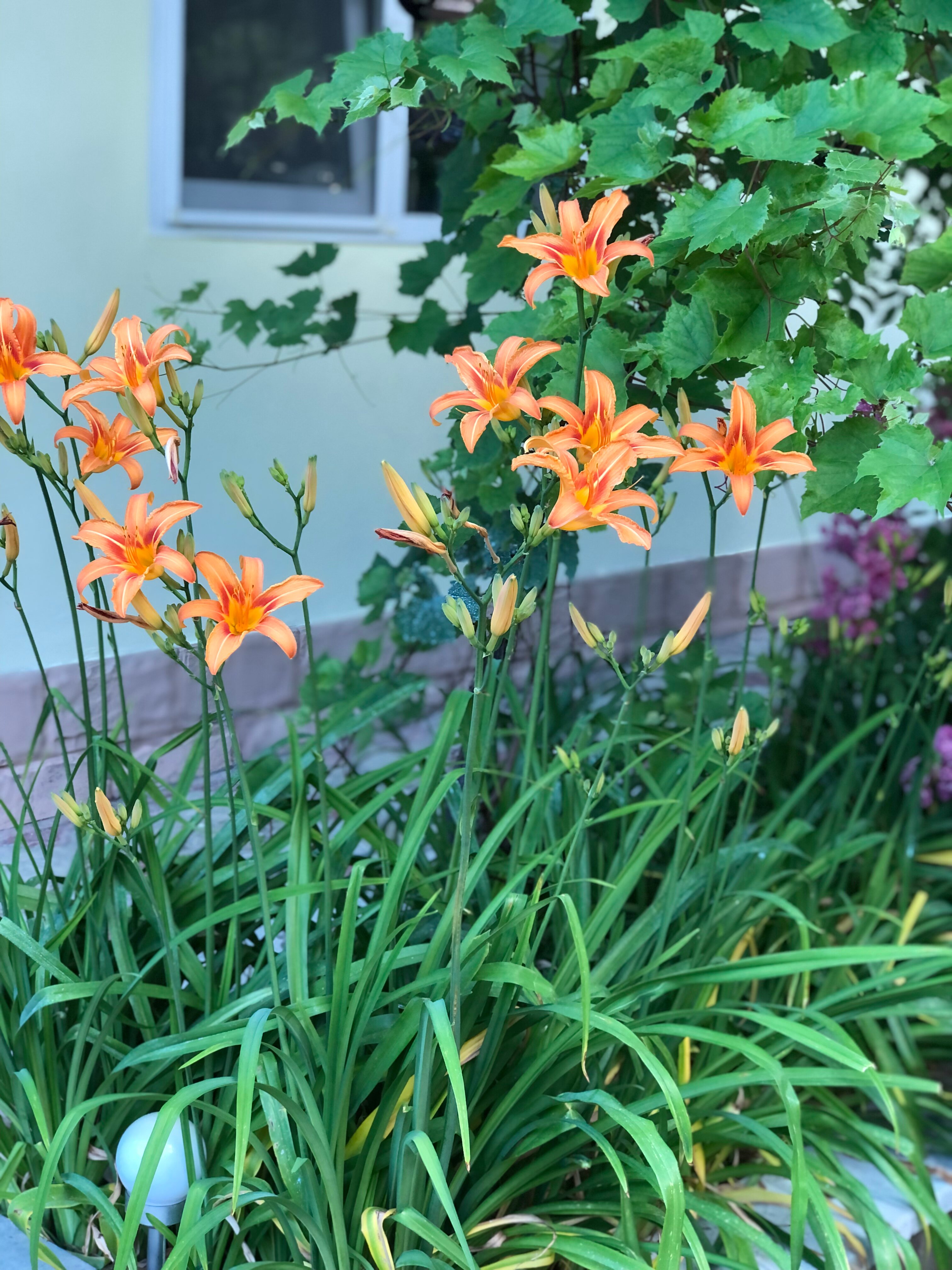 Фото Приморский