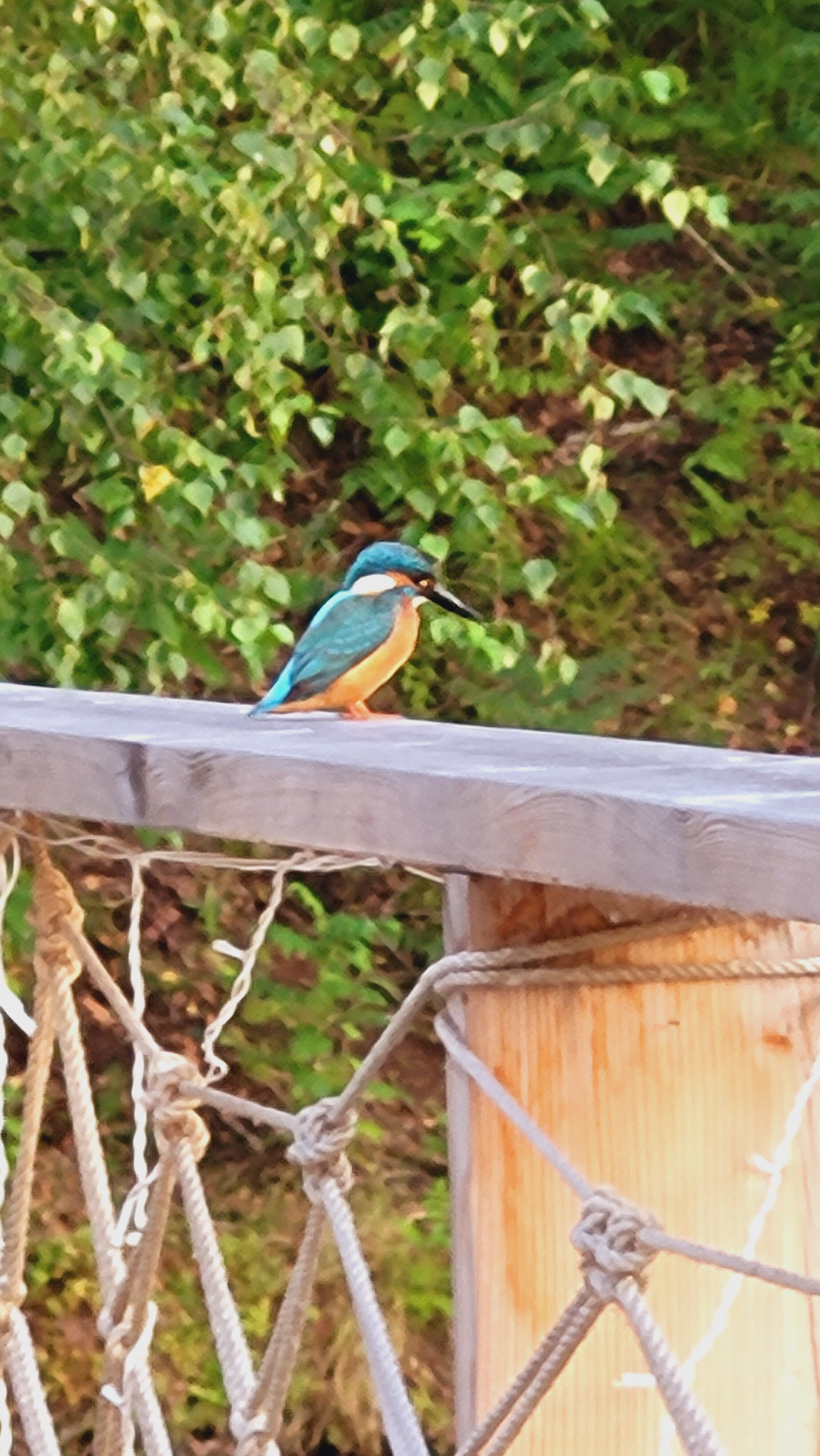 Фото Шале на воде