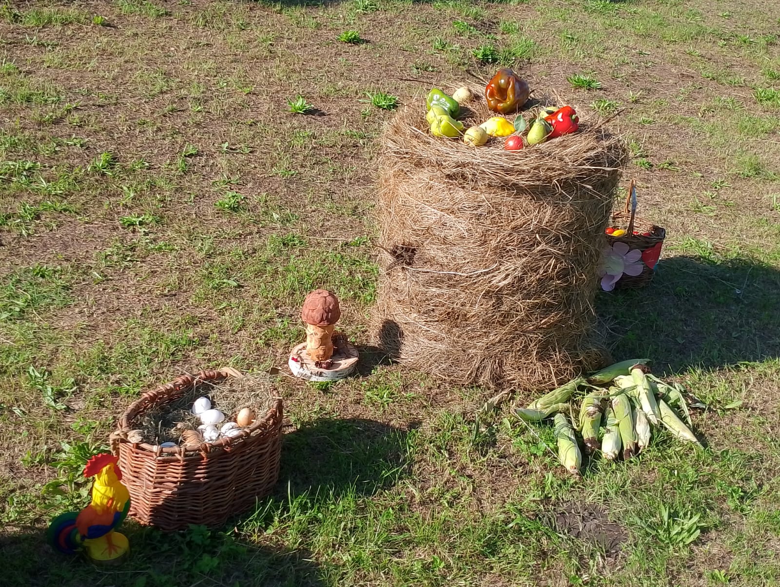 Фото Лунинские Просторы