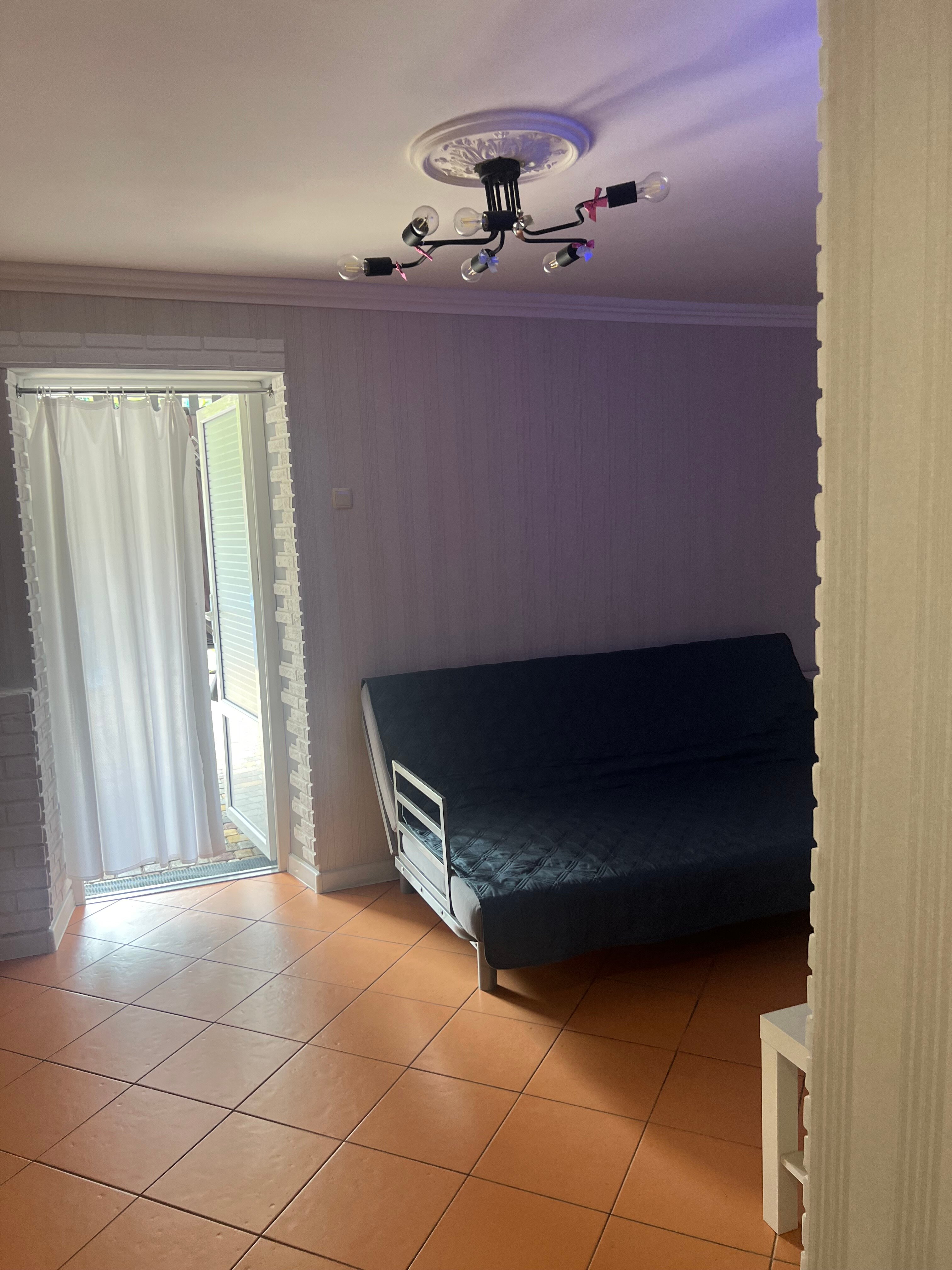 Фото Фламинго