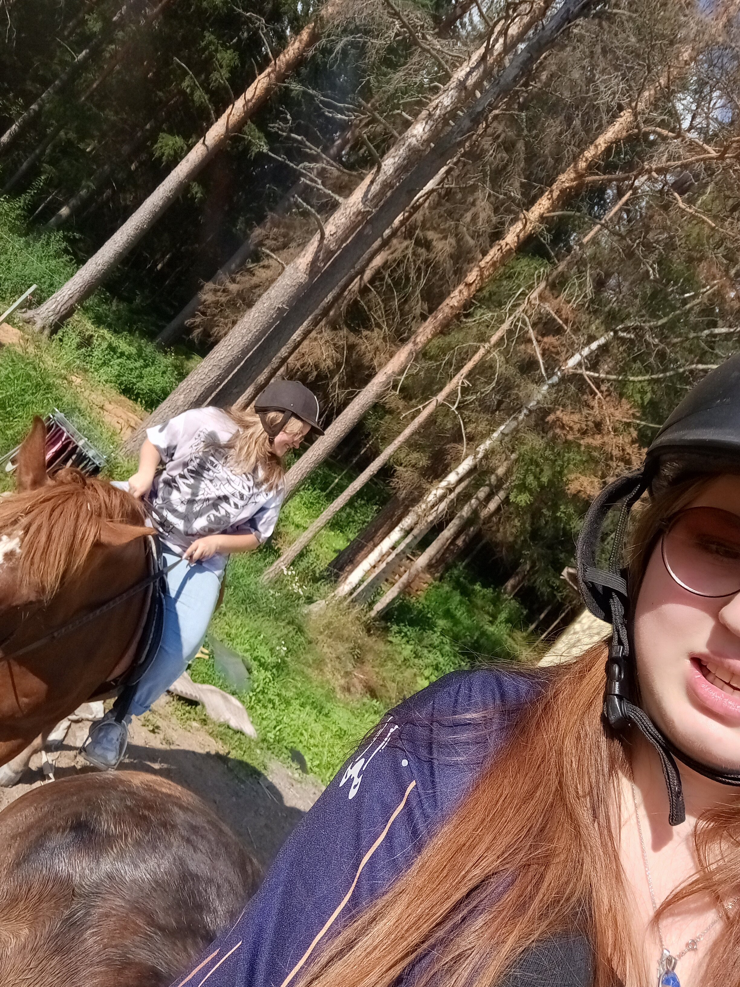 Фото Конюшенный двор