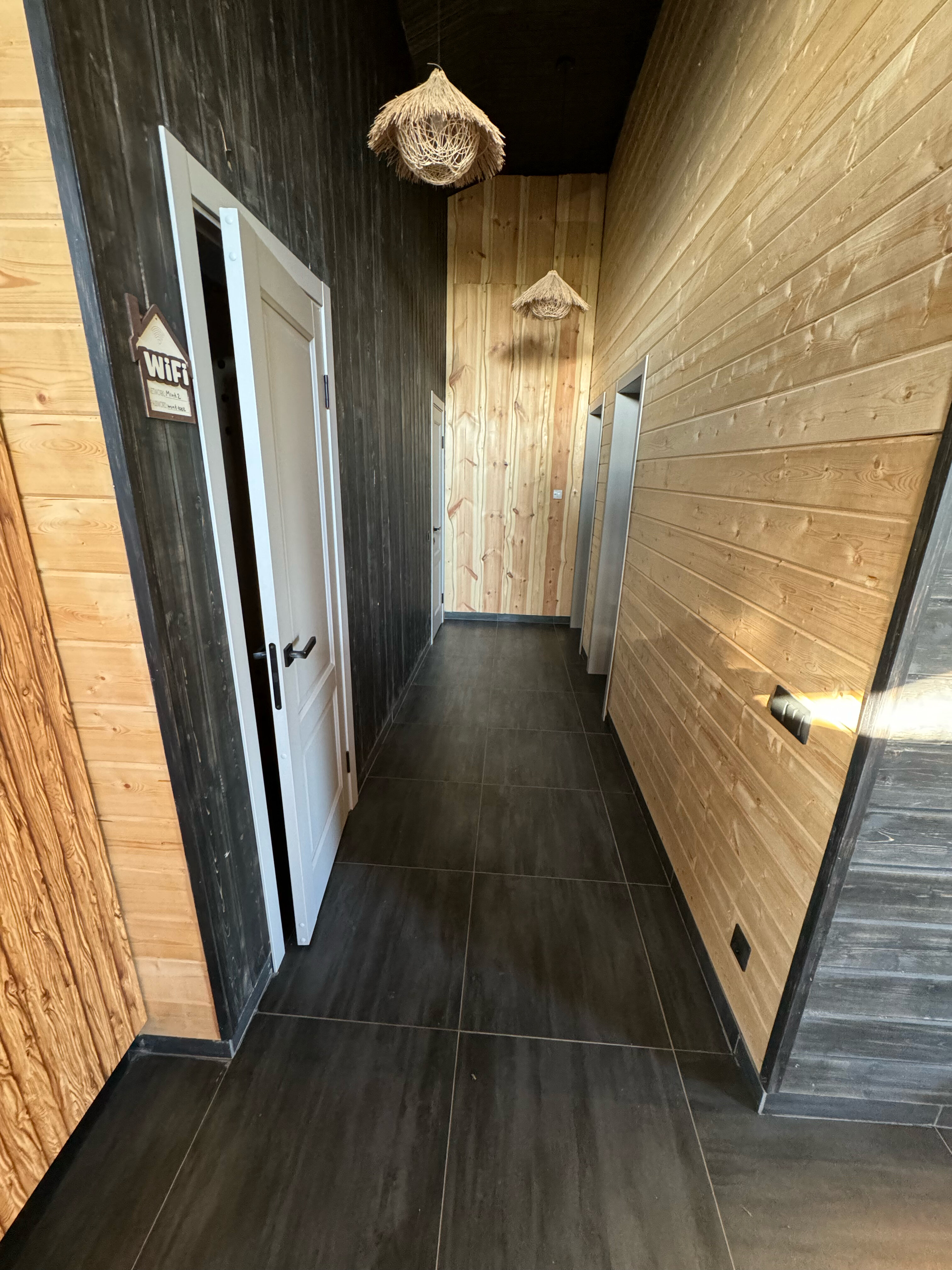 Фото Мята. Club