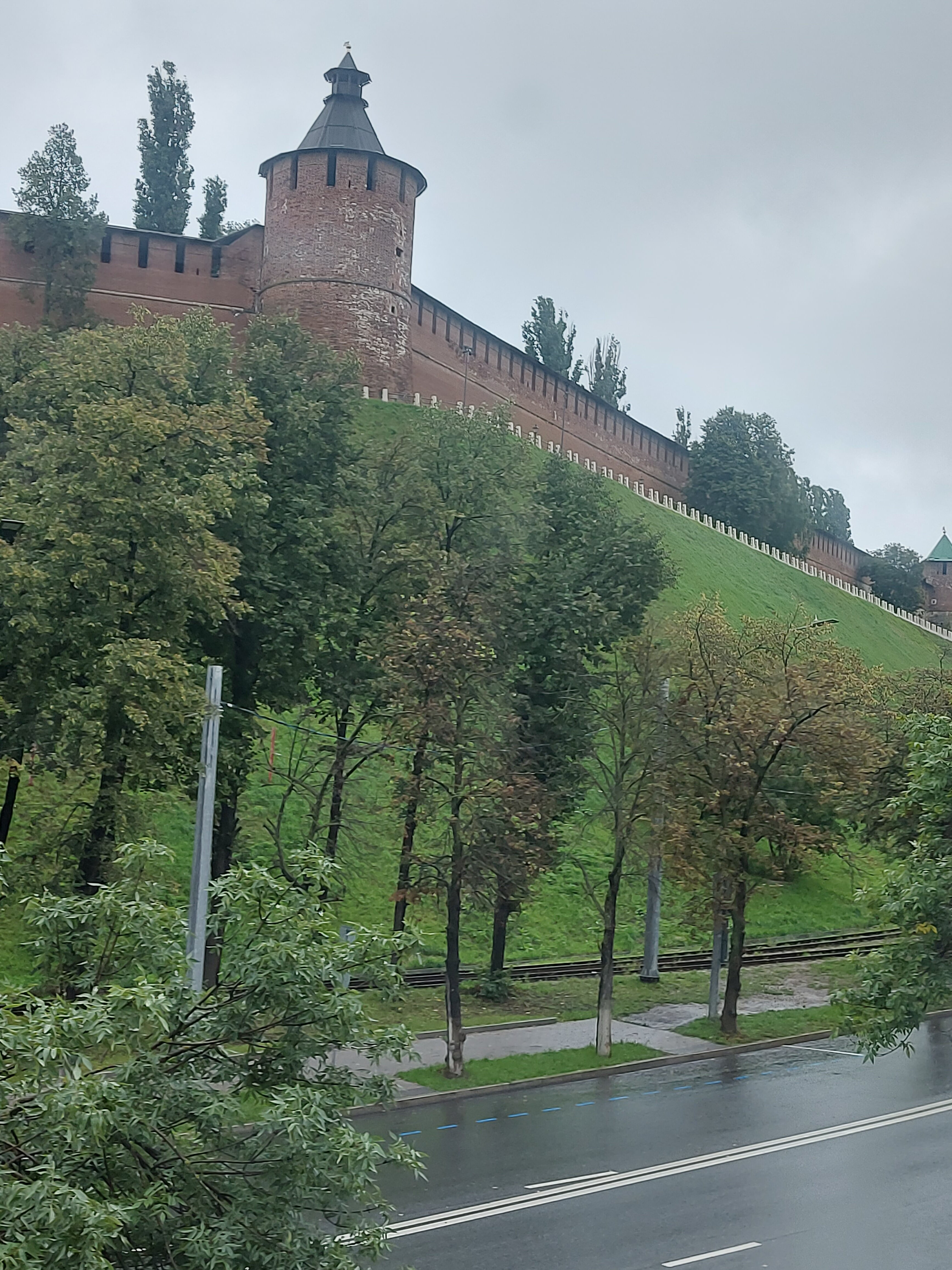 Фото Золотой Клевер