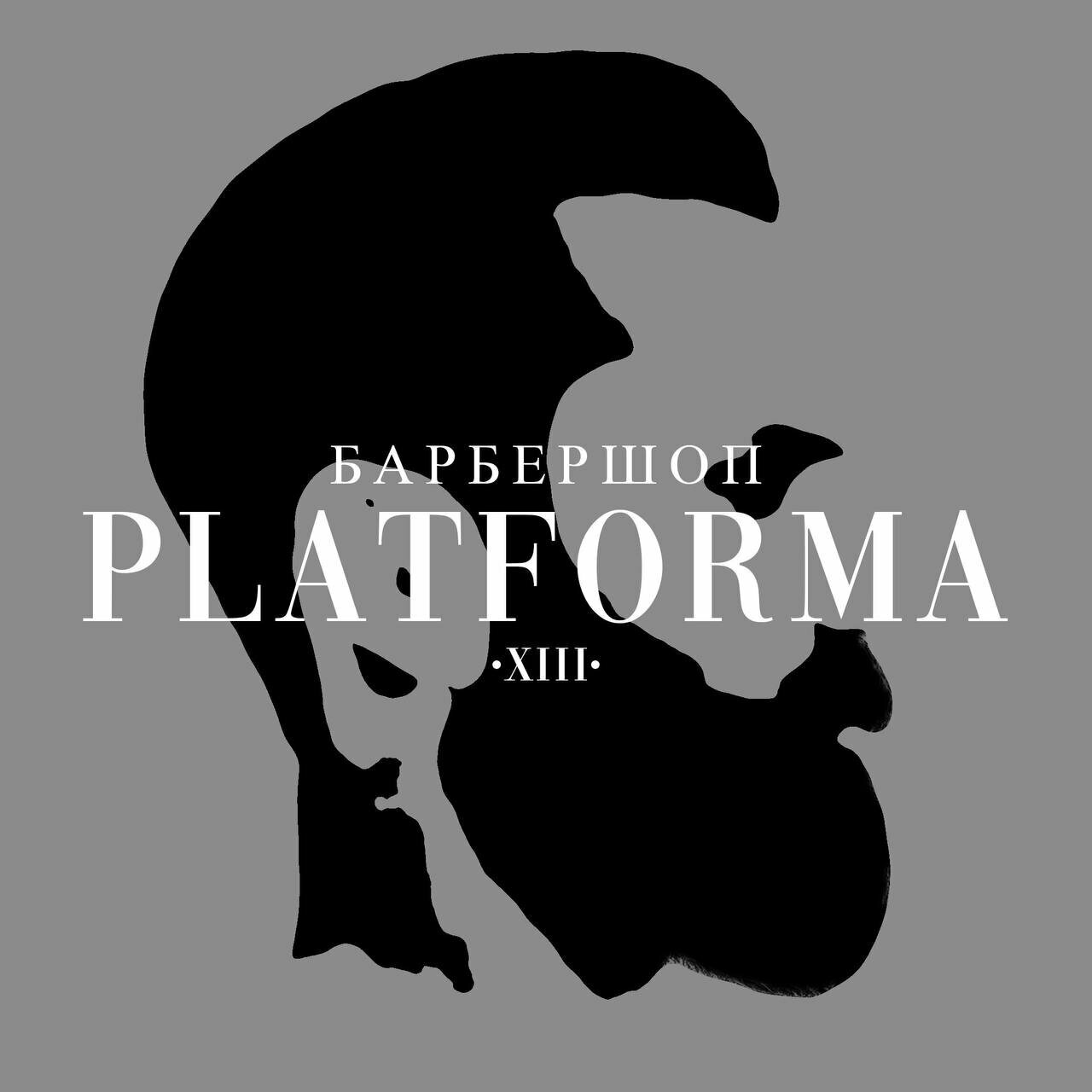 Платформа 13