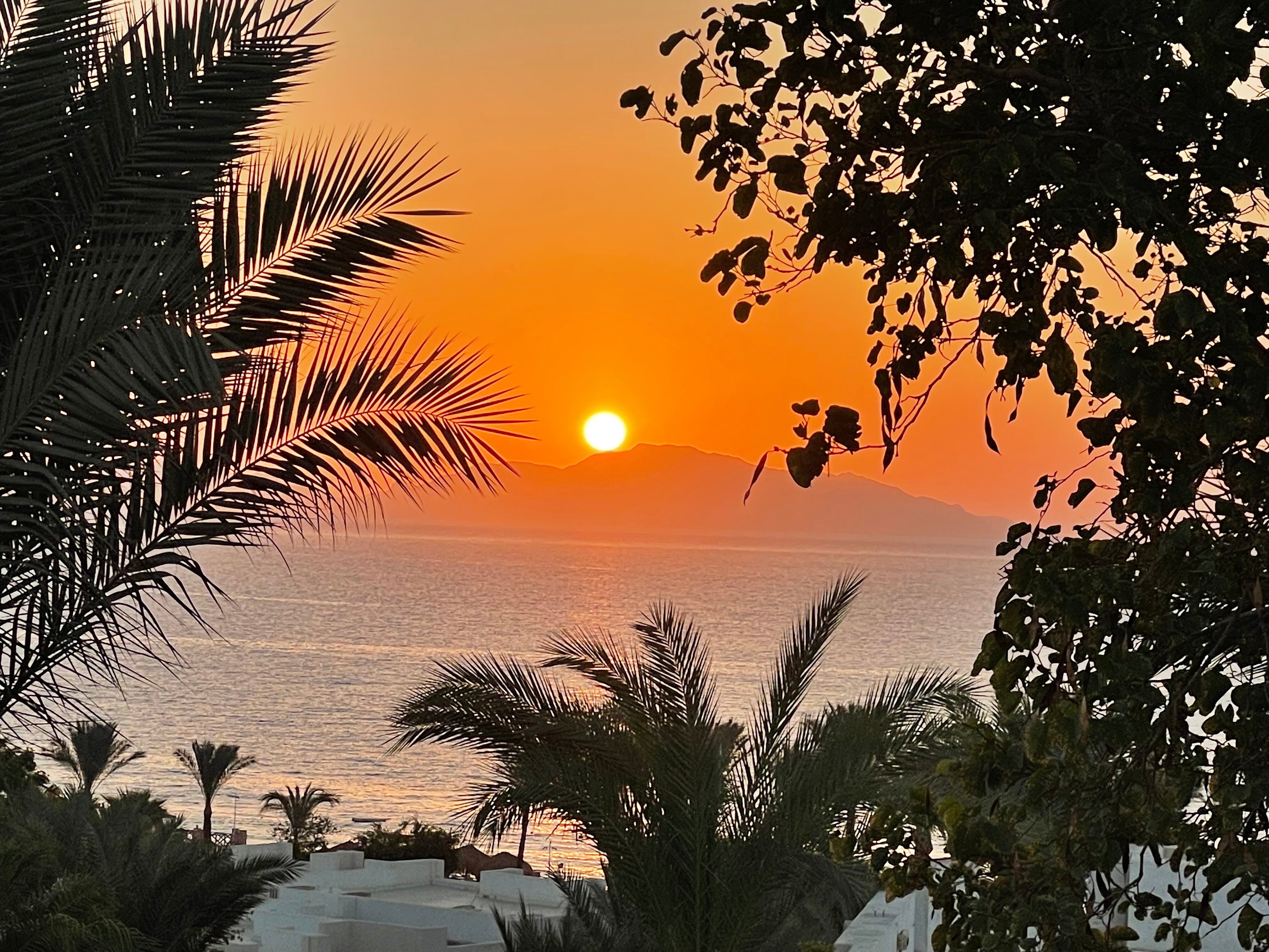 Фото Sunrise Montemare Resort Grand Select