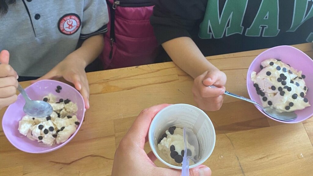 Primary school Temelli Toki Primary School, Ankara, photo