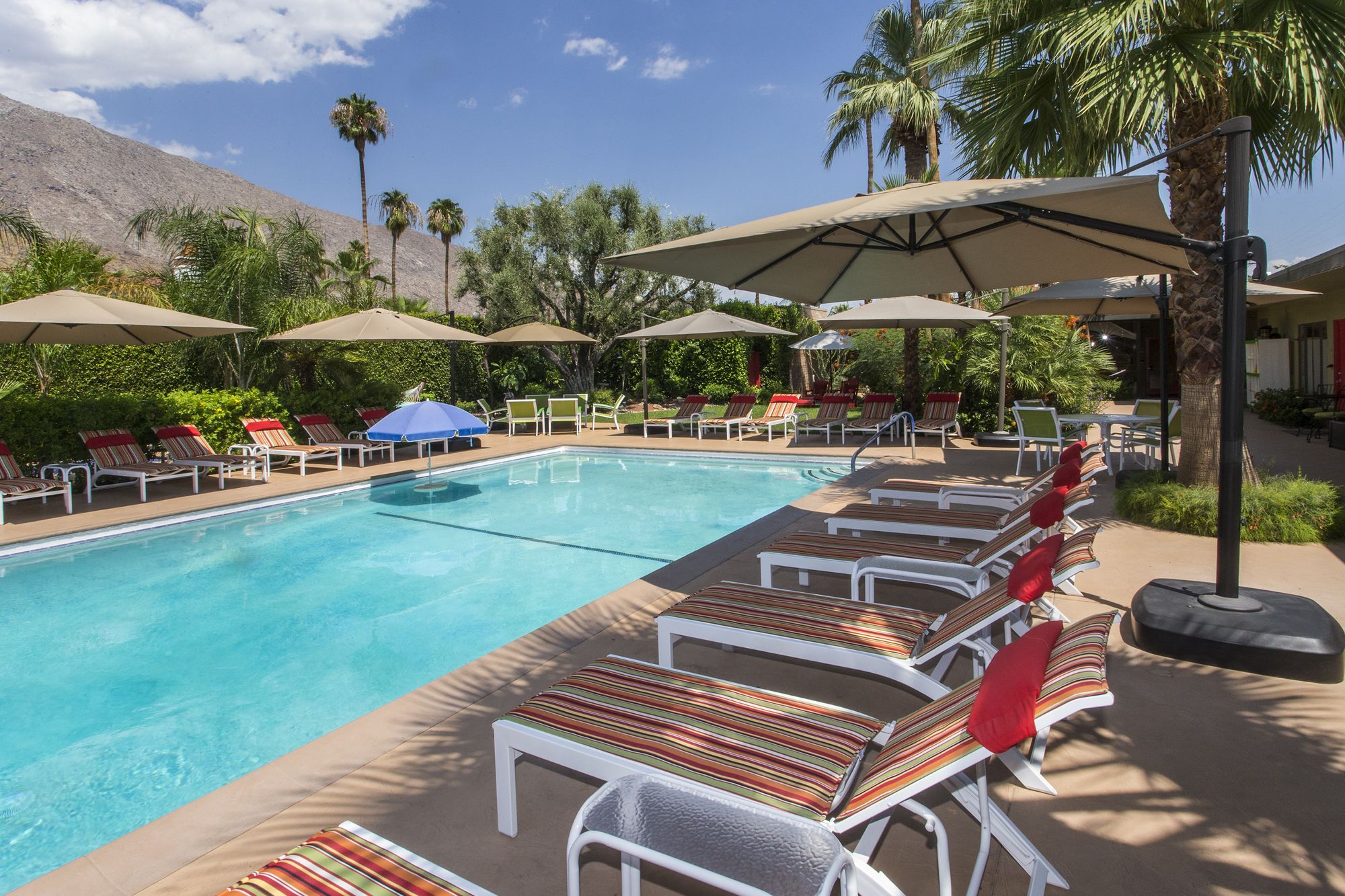 Фото Desert Riviera Hotel