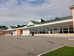Zheleznodorozhny vokzal Zarinskaya (Zheleznodorozhnaya ulitsa, 51), railway station