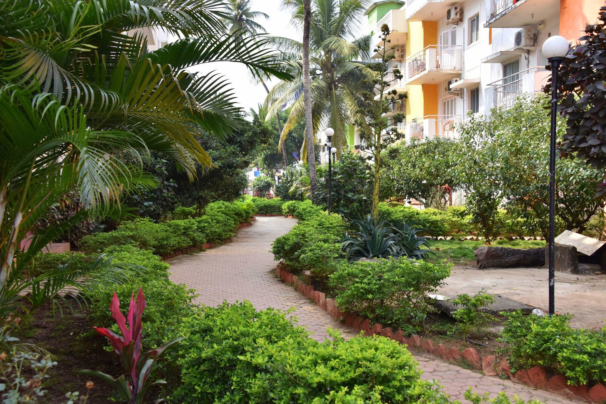 Фото Oyo 9411 Resort Calangute