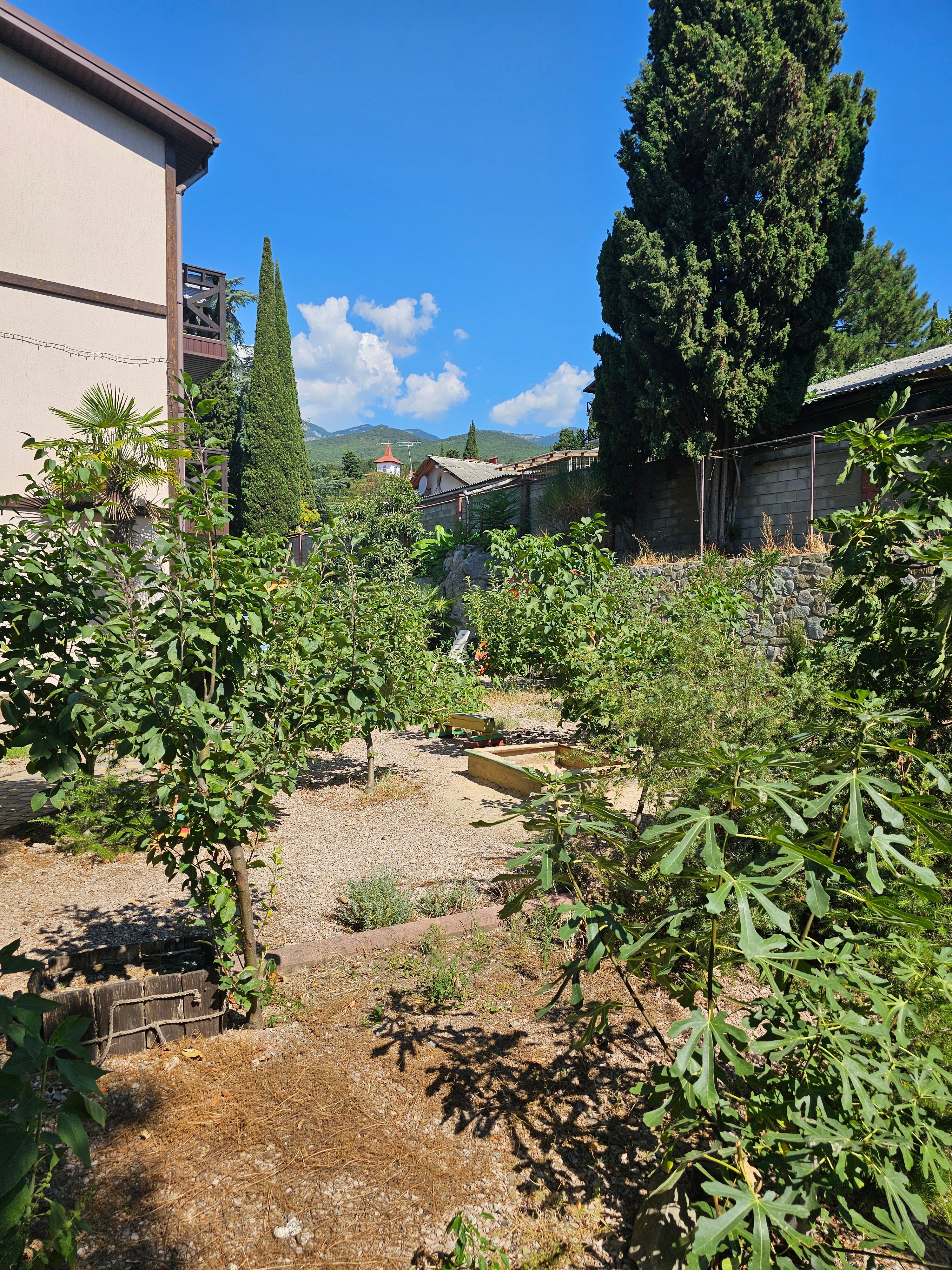 Фото Радуга