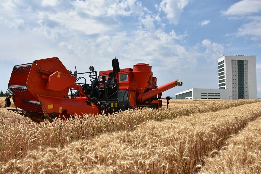 University Tekirdag Namik Kemal University Faculty of Agriculture, Suleymanpasa, photo