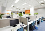 Europe Cleaning Service Solutions (İstanbul, Esenler, Oruçreis Mah., Giyimkent 17. Sok., 53A), management company