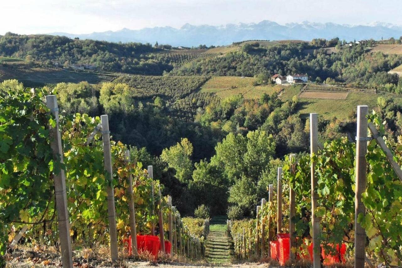 Фото Agriturismo Bevione Davide