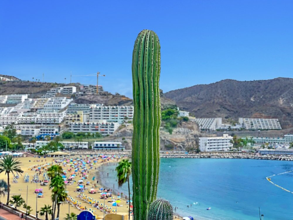 Фото Punta del Rey - Adults Only