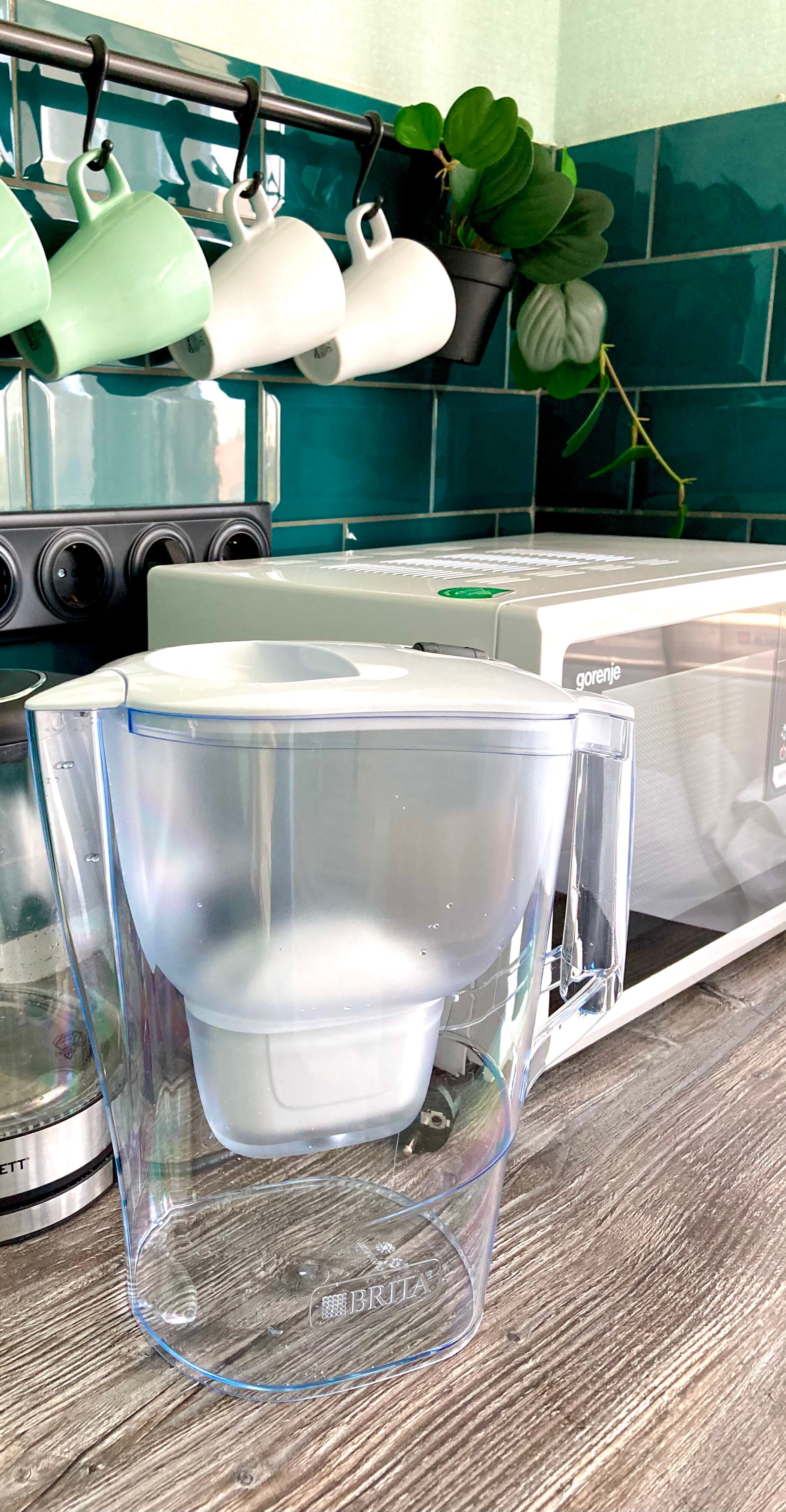 Фото Уютная студия с качелями в Приморском районе