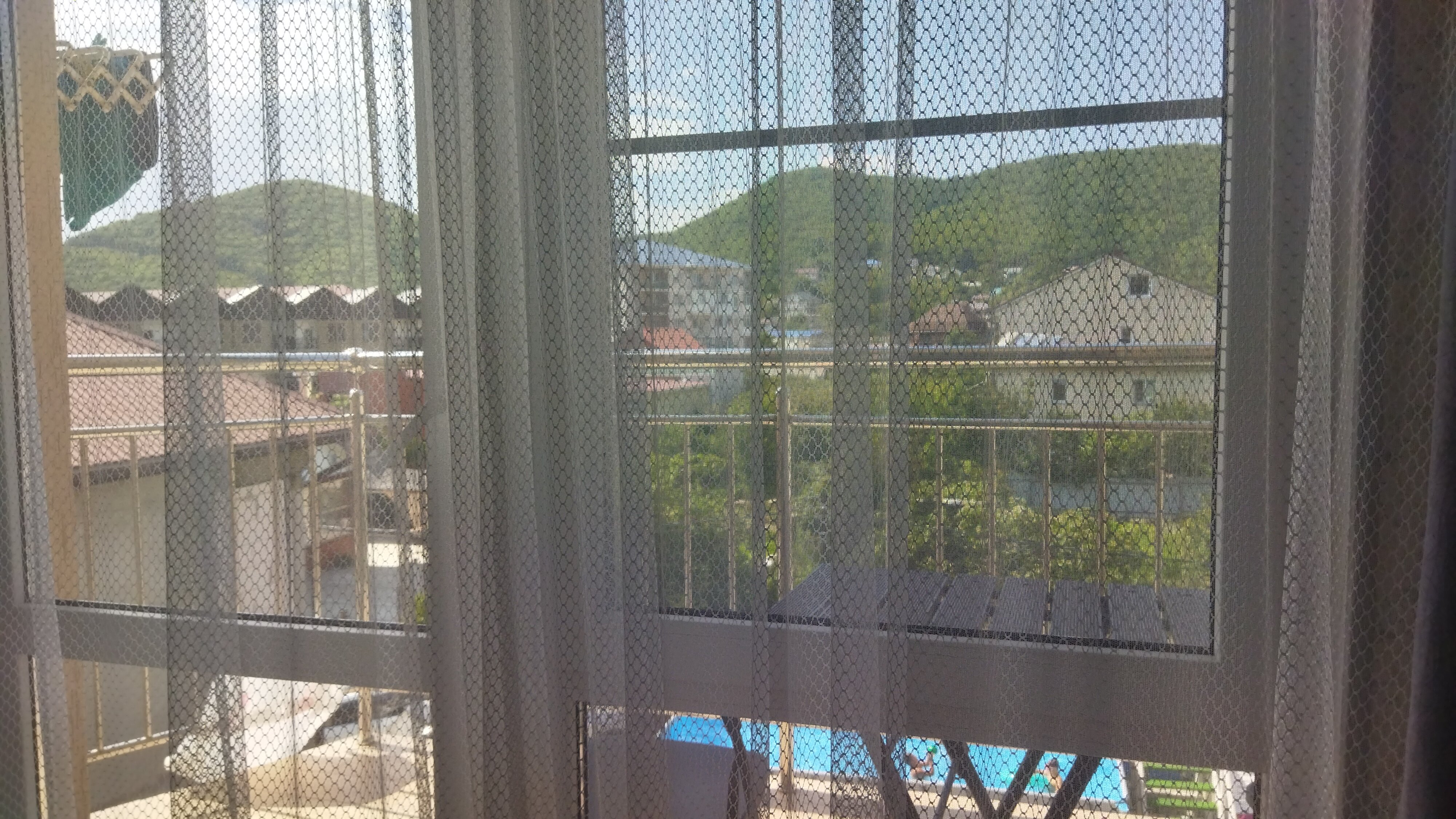 Фото Колибри