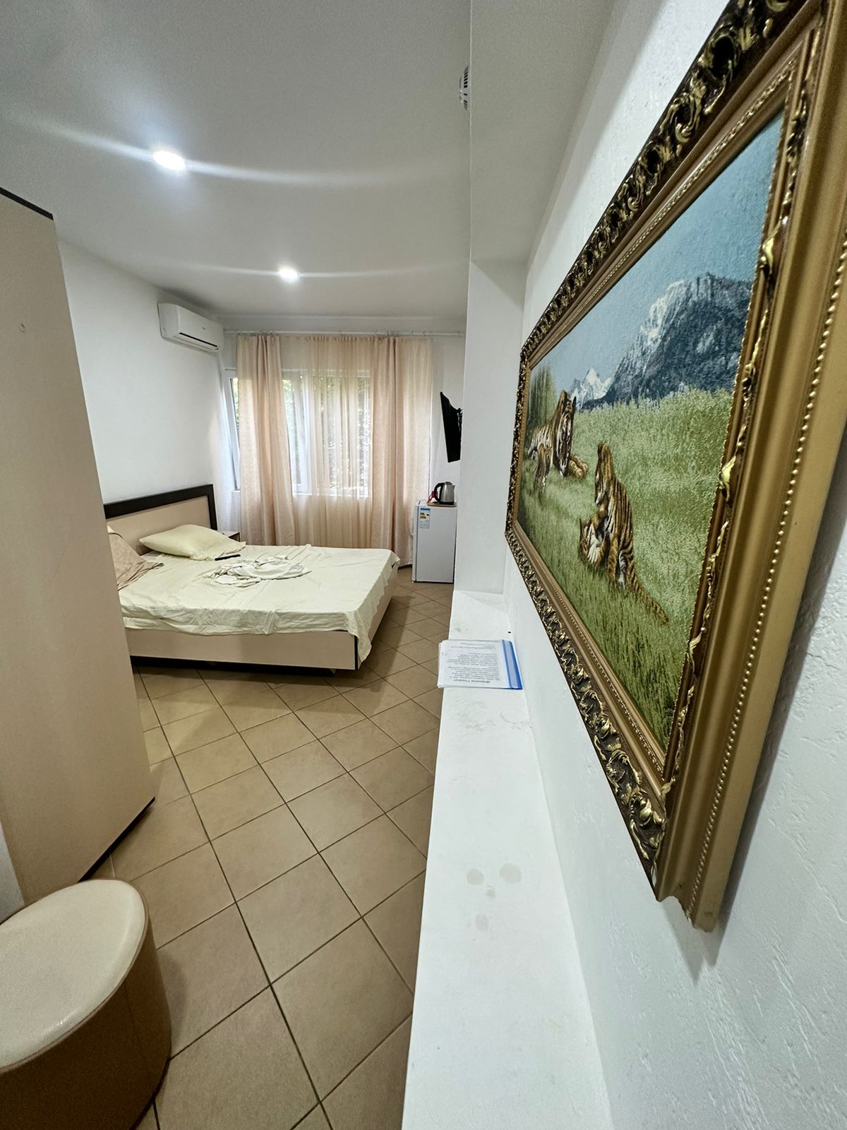 Фото Цитрус