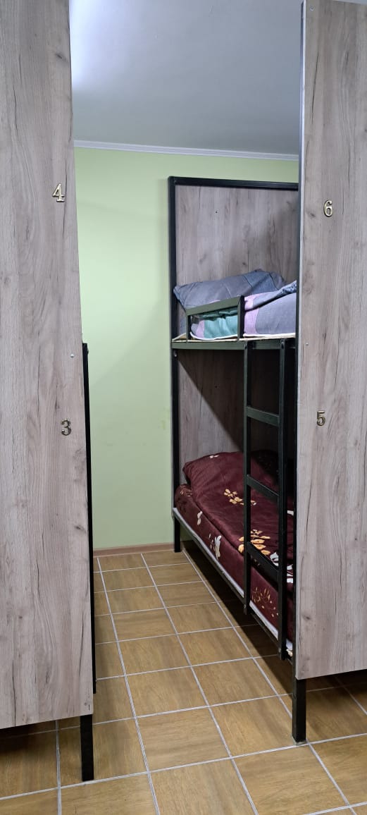 Фото Сталакс