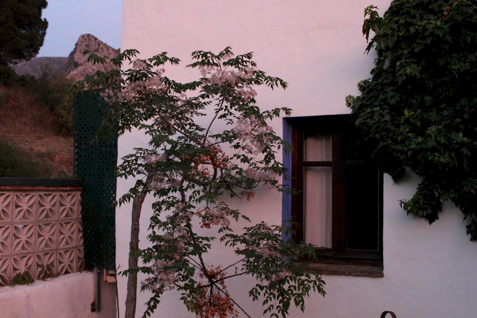 Фото Hotel Los Jarales