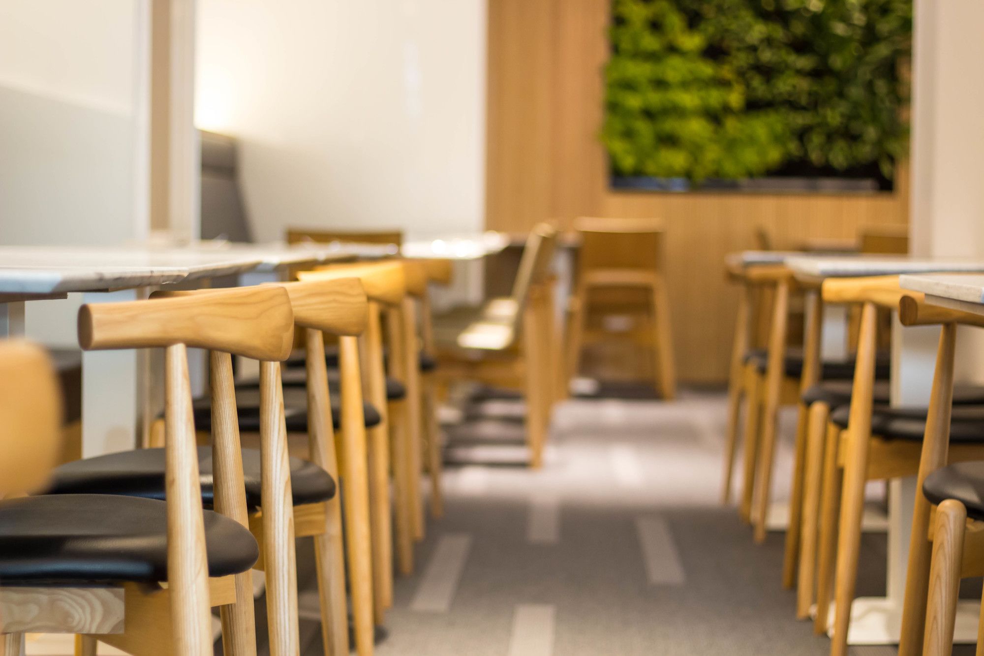 Фото The Carlton