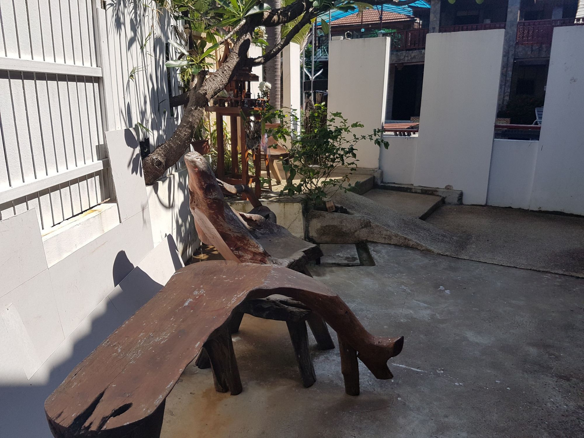 Фото Delight Resort