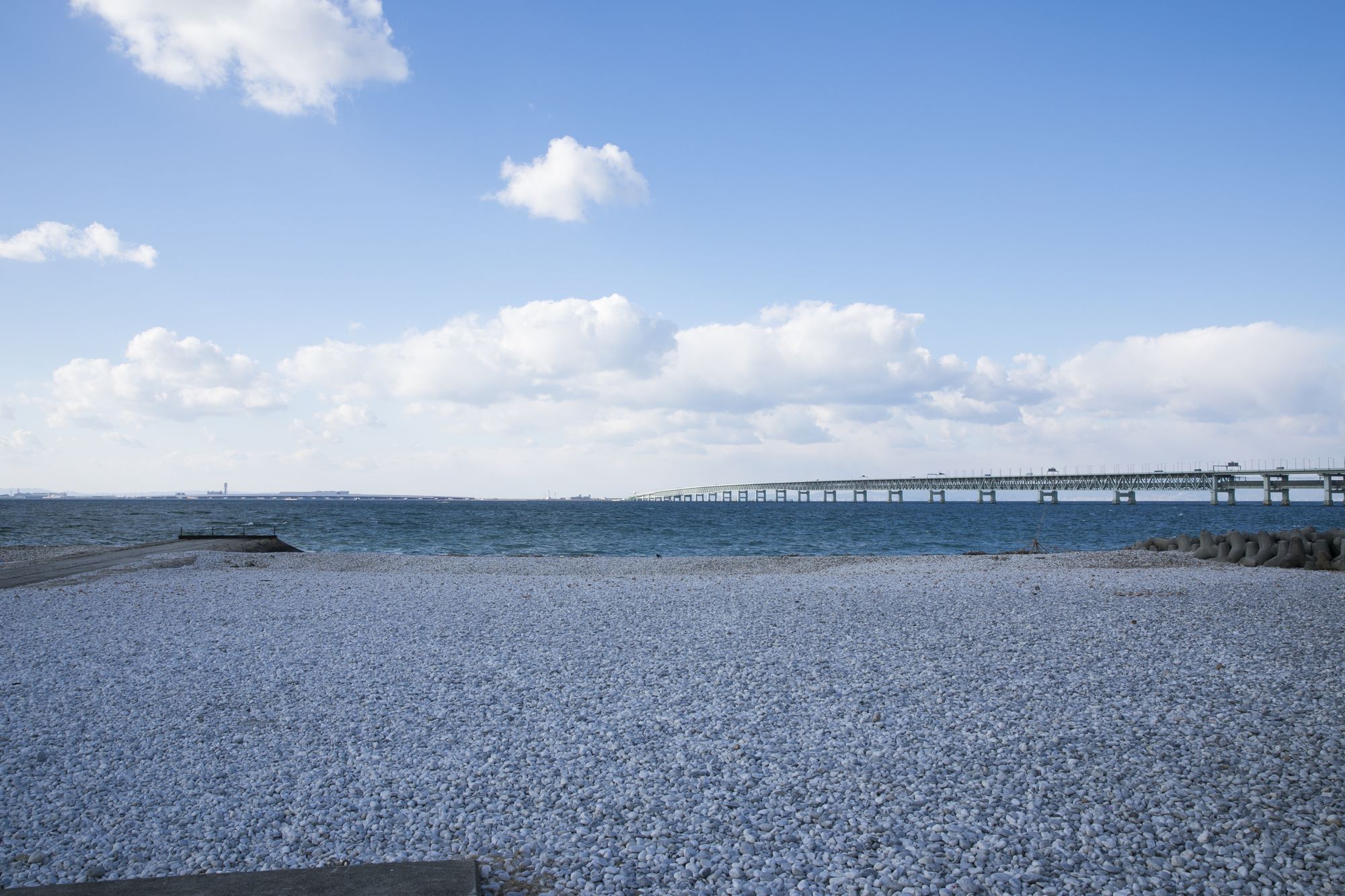 Фото Hotel Nikko Kansai Airport